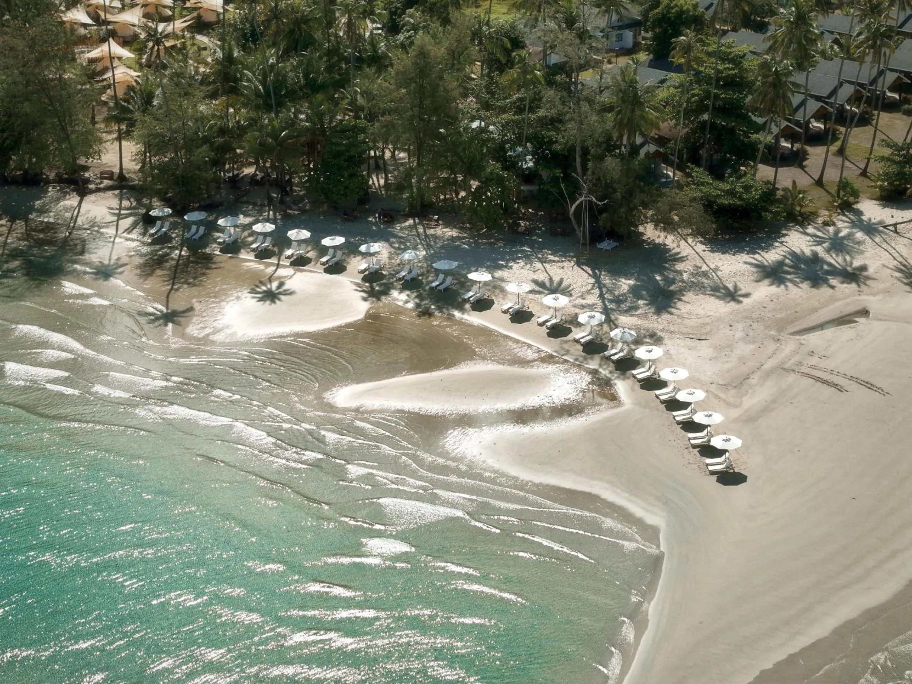 Day in The Survival by Seudam