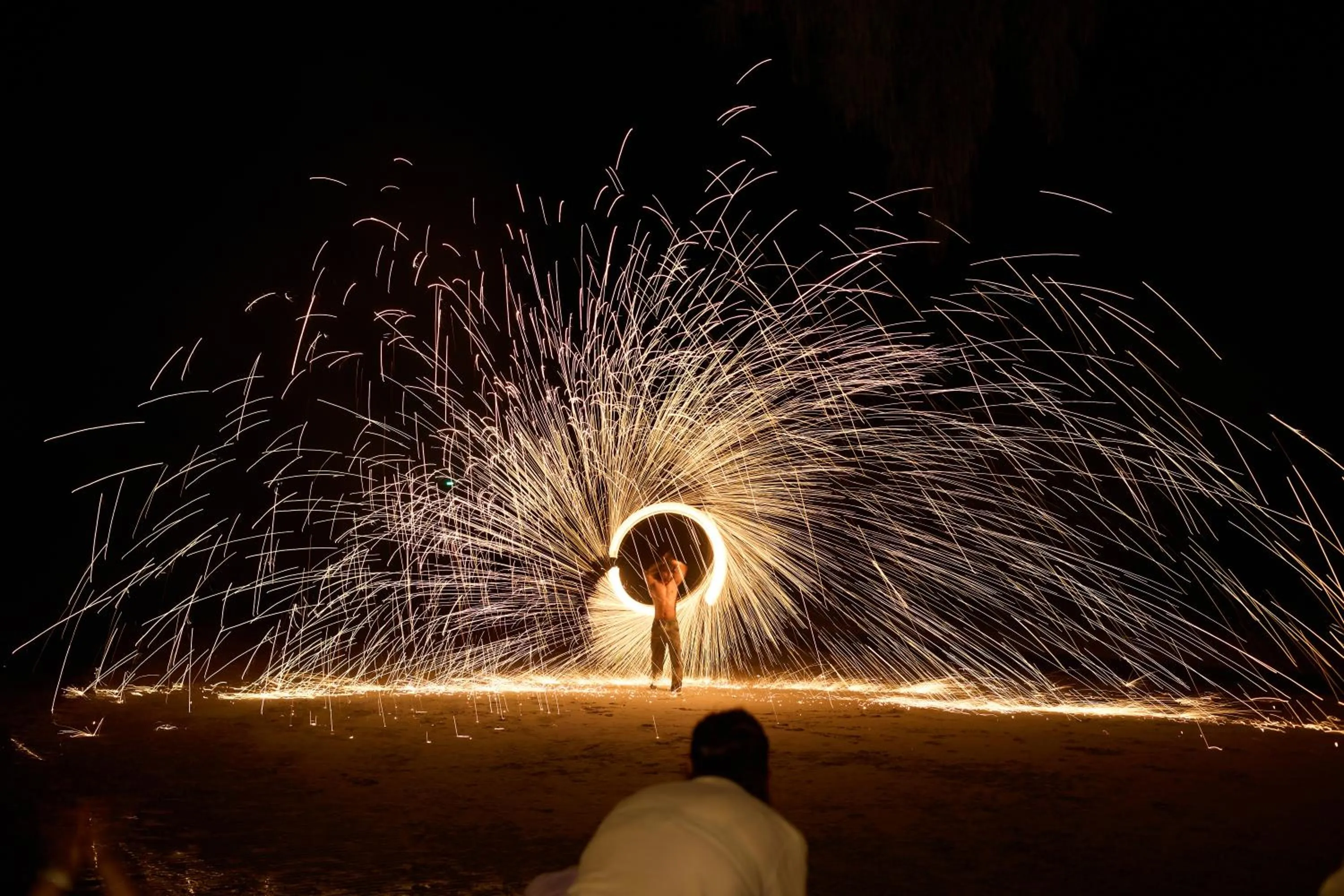 The Survival by Seudam