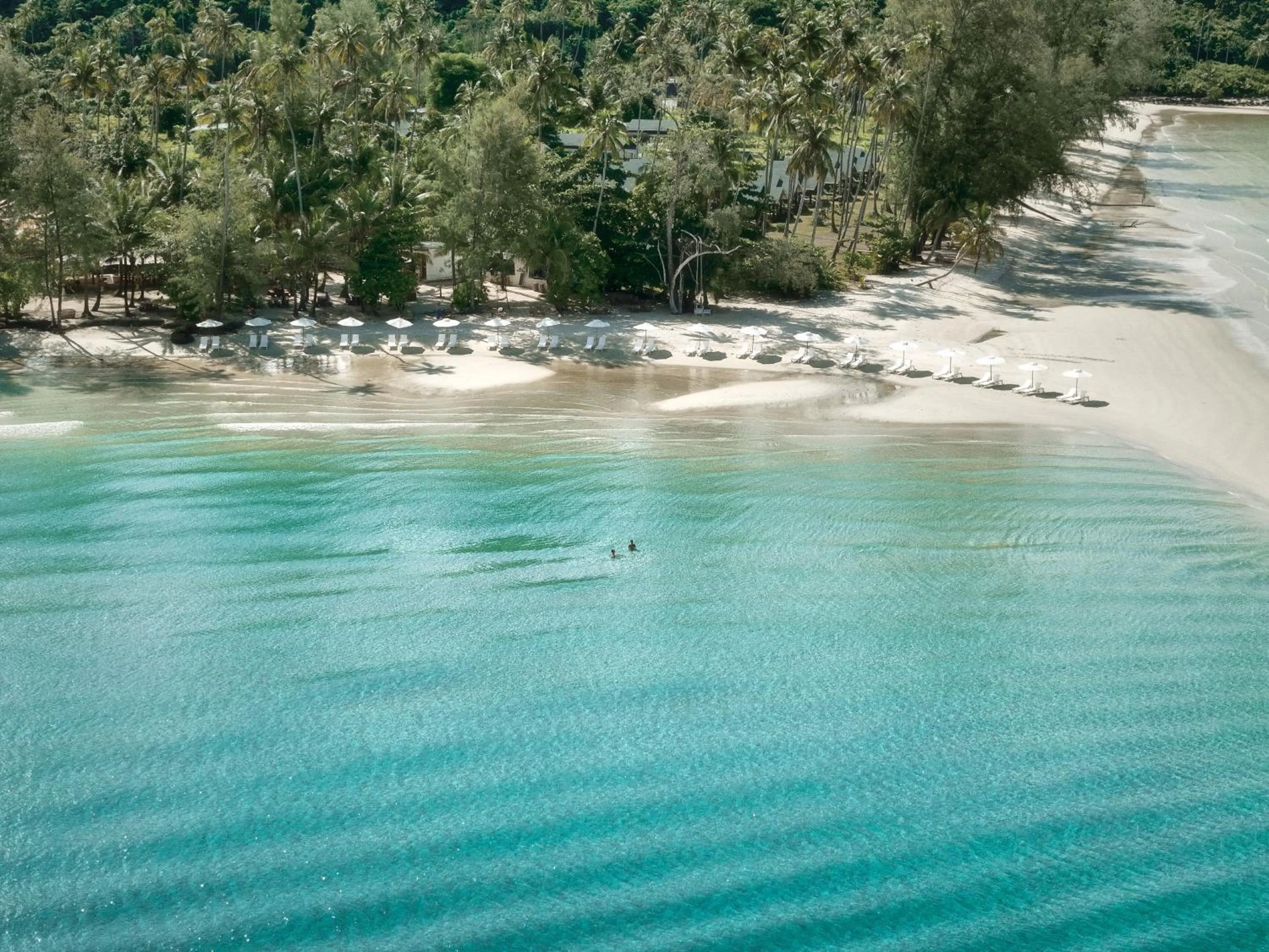 Day in The Survival by Seudam