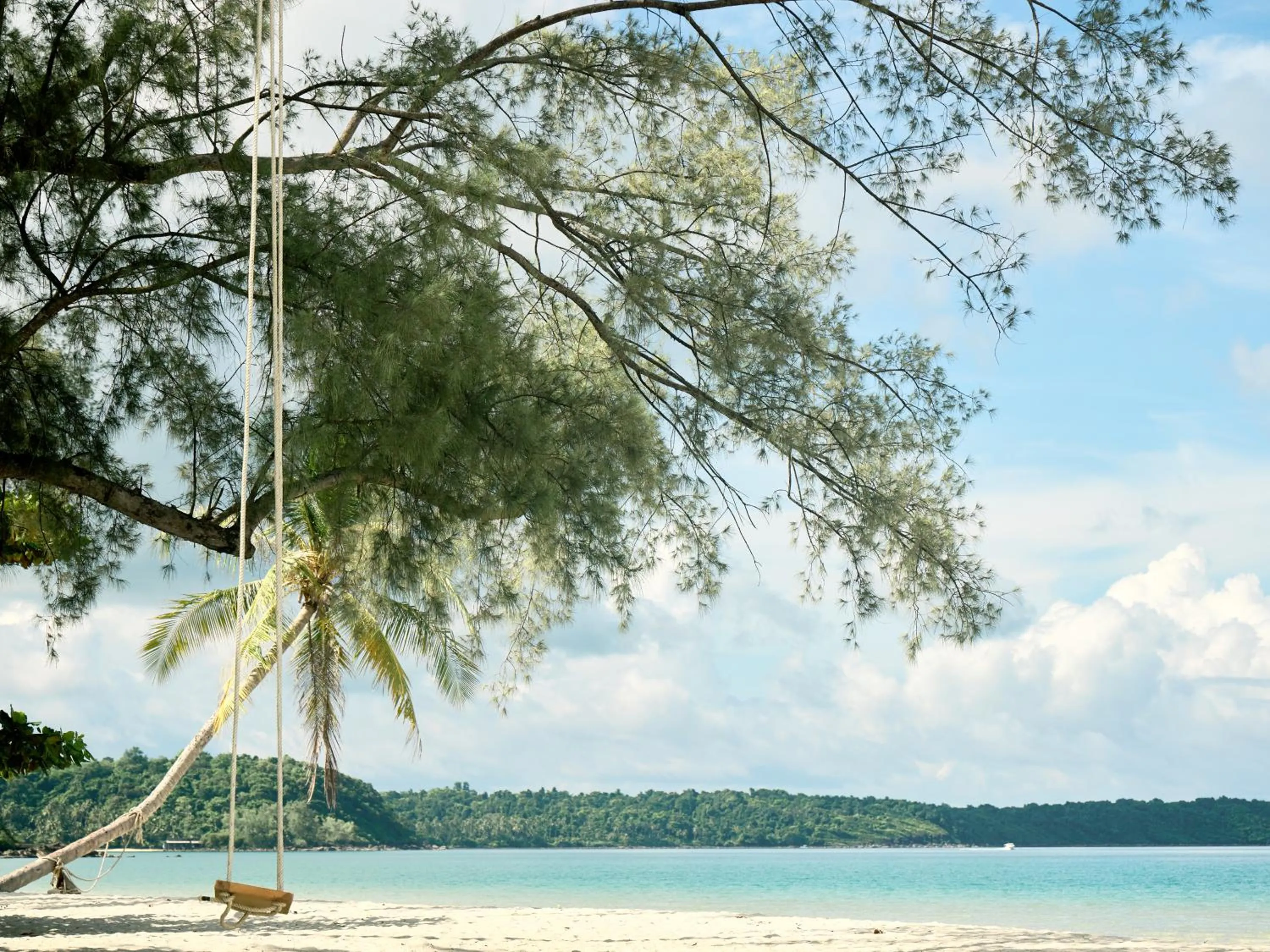 Day in The Survival by Seudam