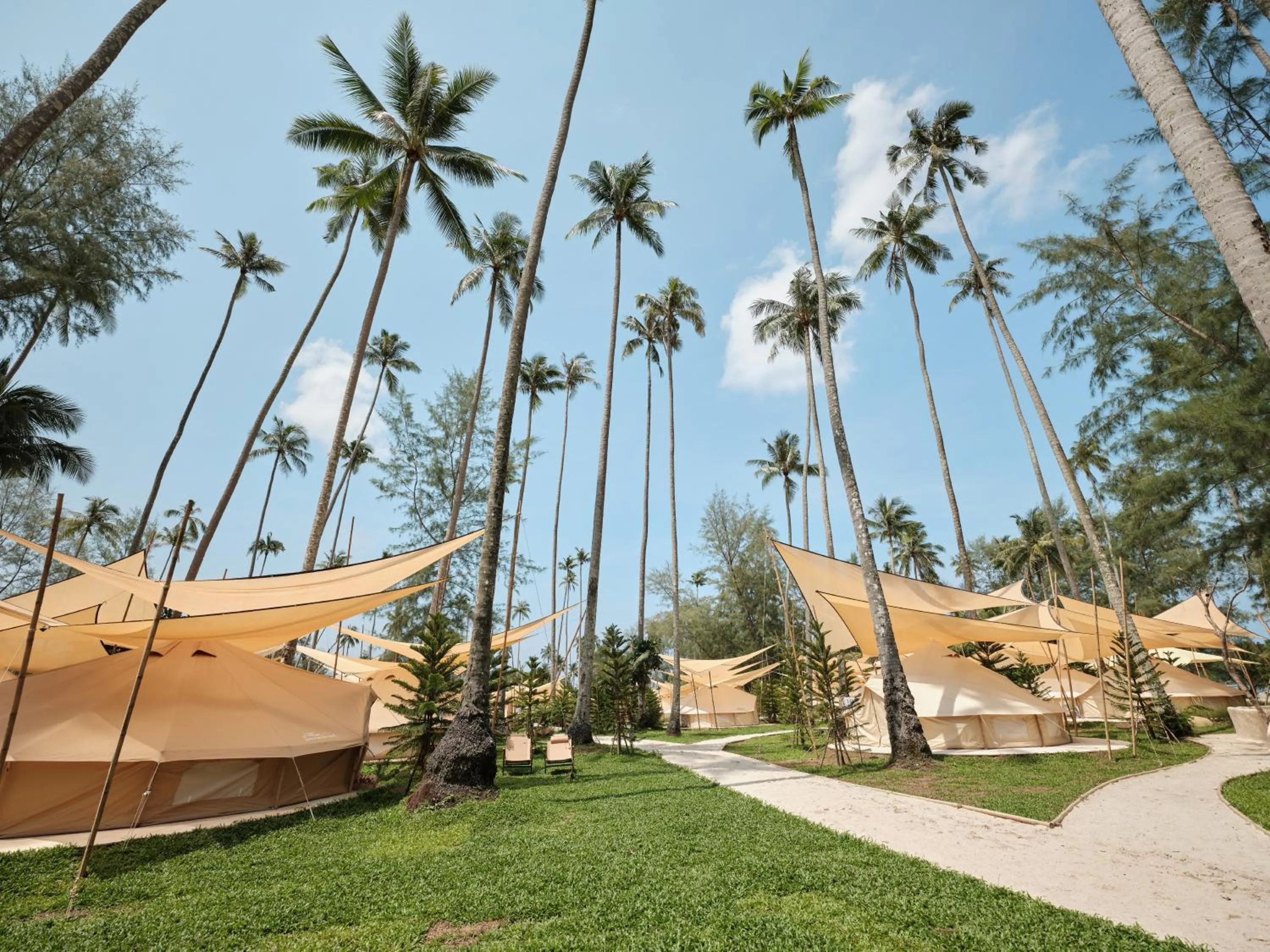 The Survival by Seudam