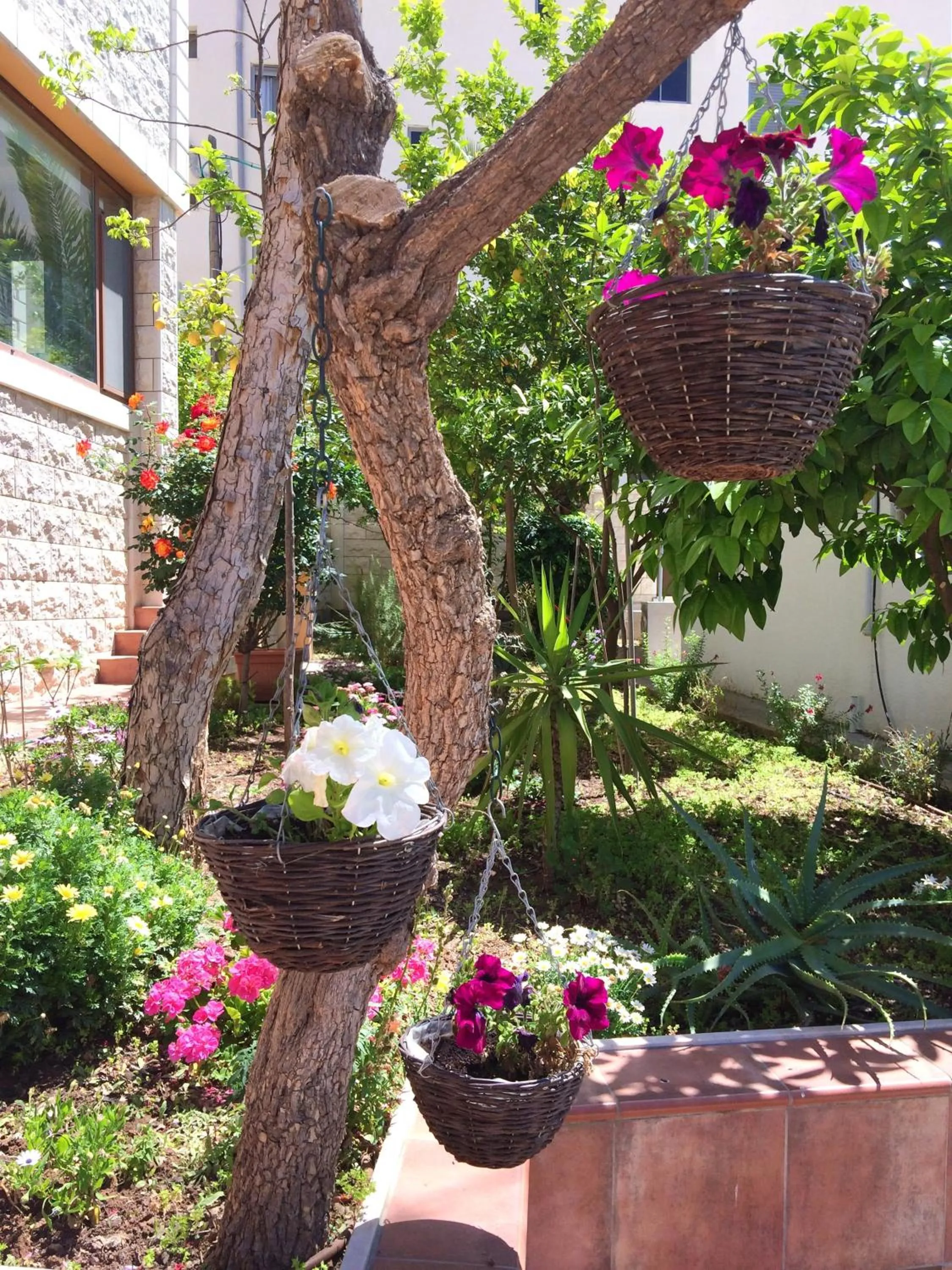 Garden in Miriam Short Term Rental