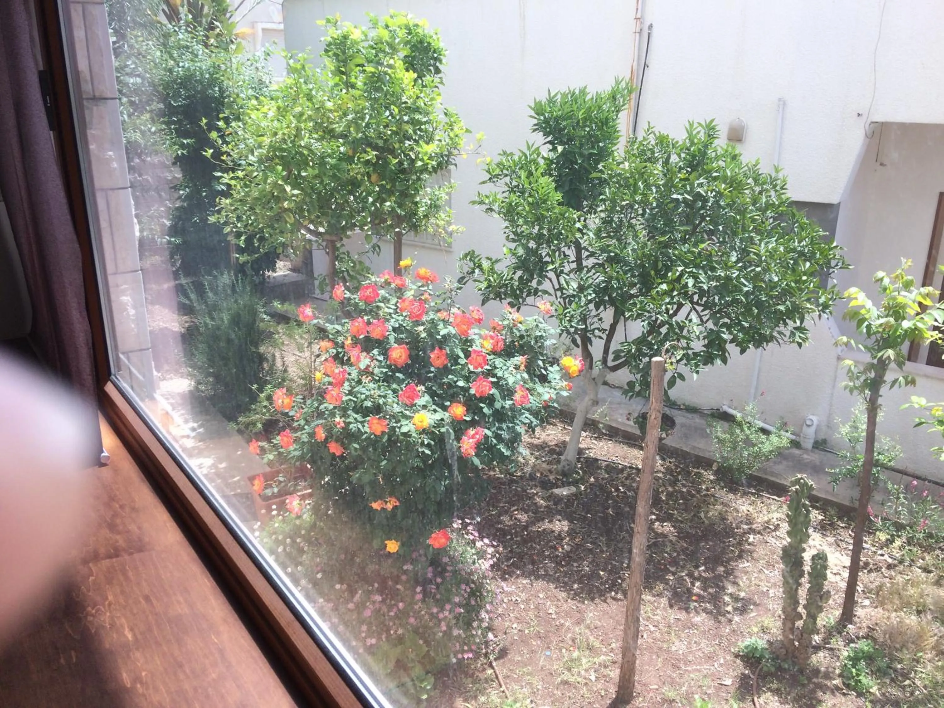 Property building in Miriam Short Term Rental