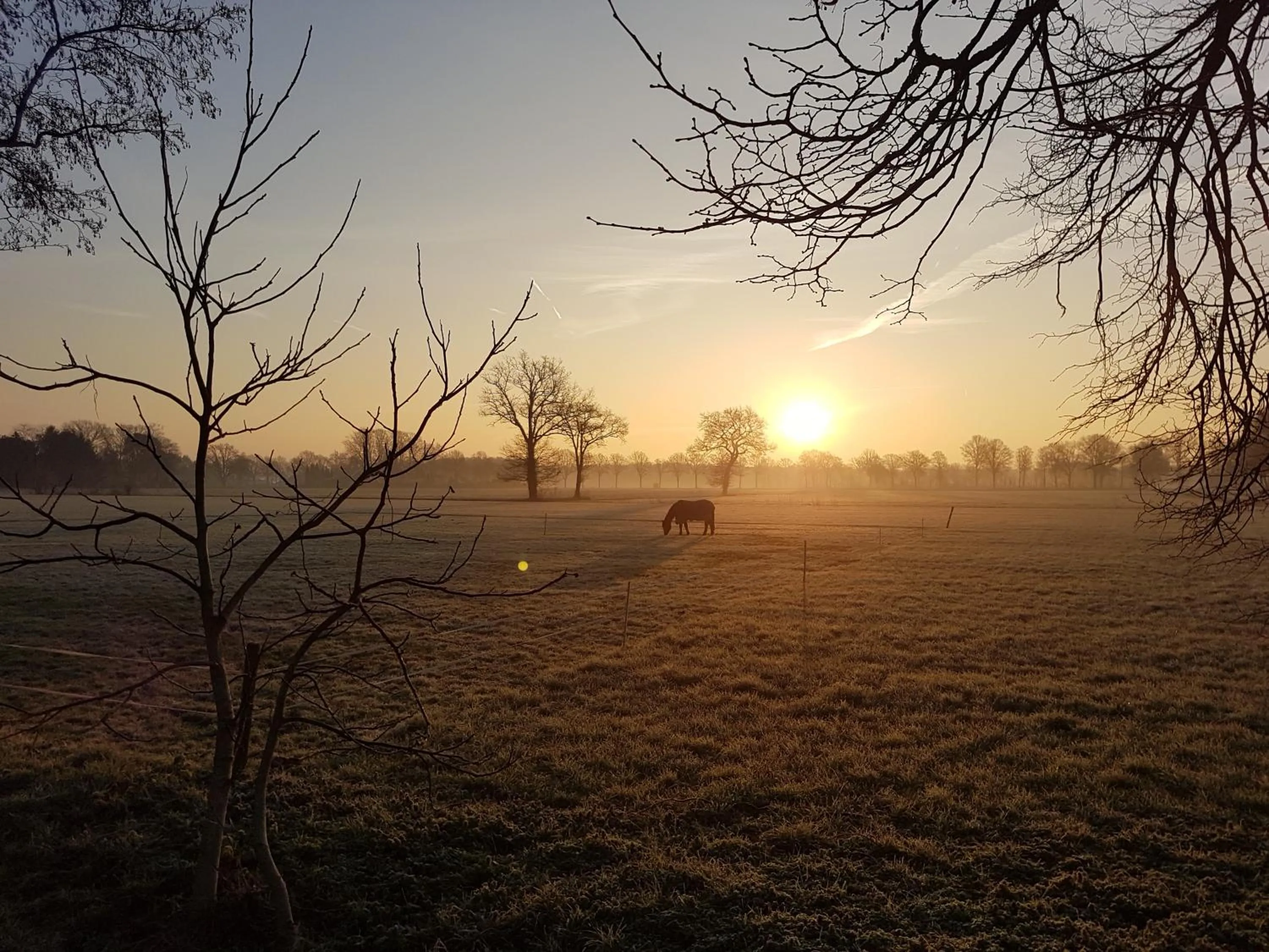 Thil's Bed and Breakfast