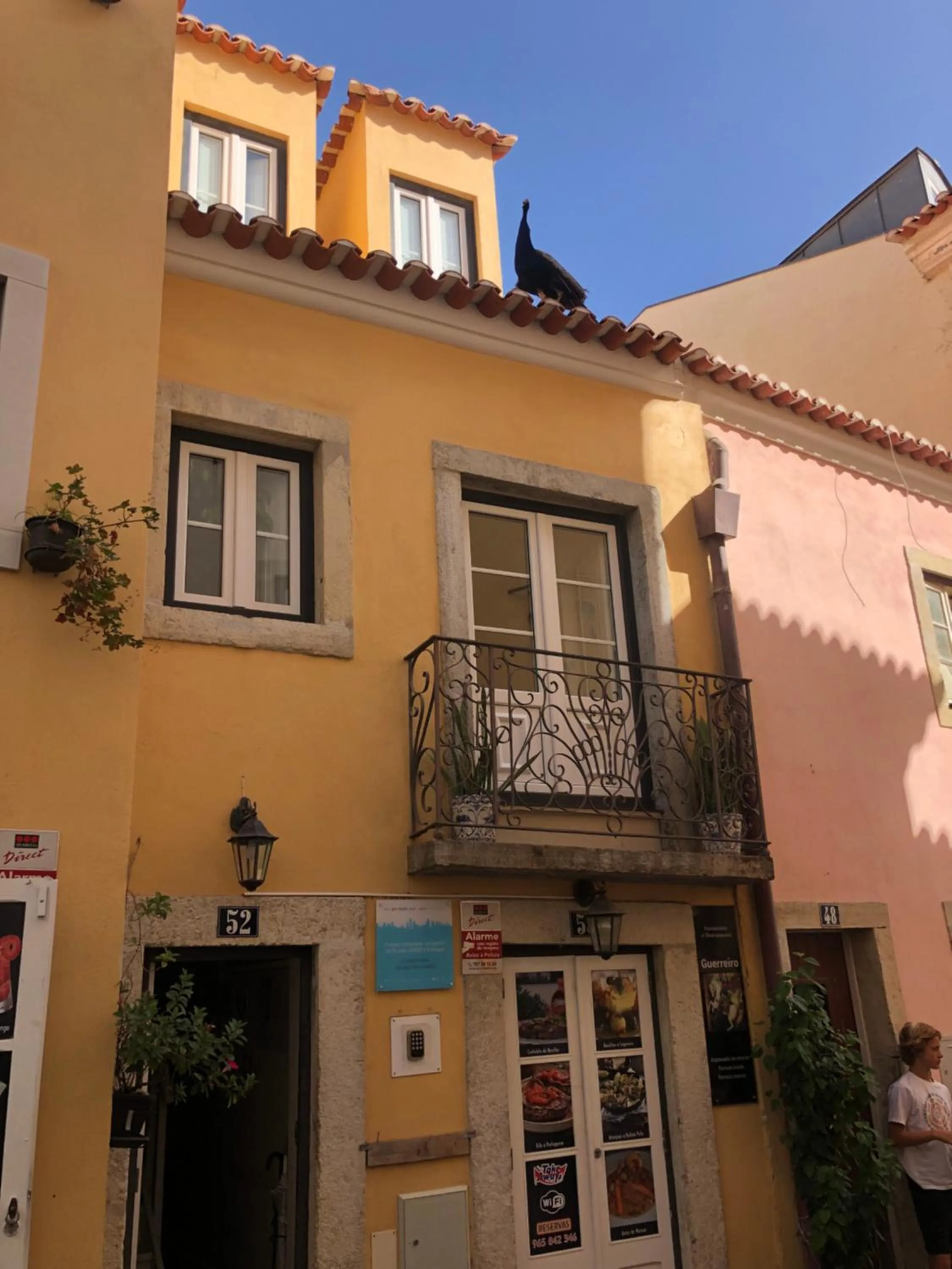 Animals in Castle Inn Lisbon Apartments