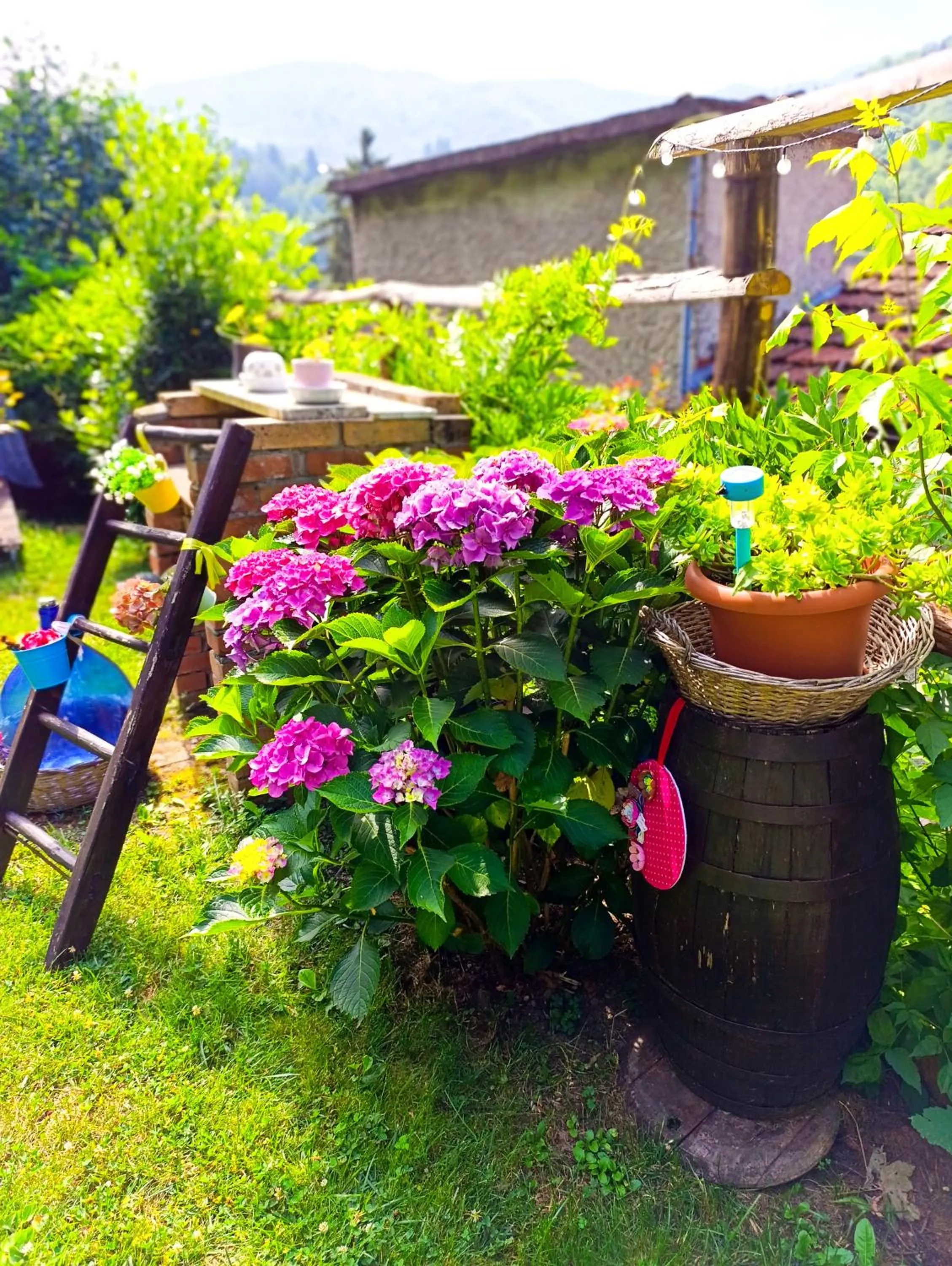 Garden in B&B Va...lentina