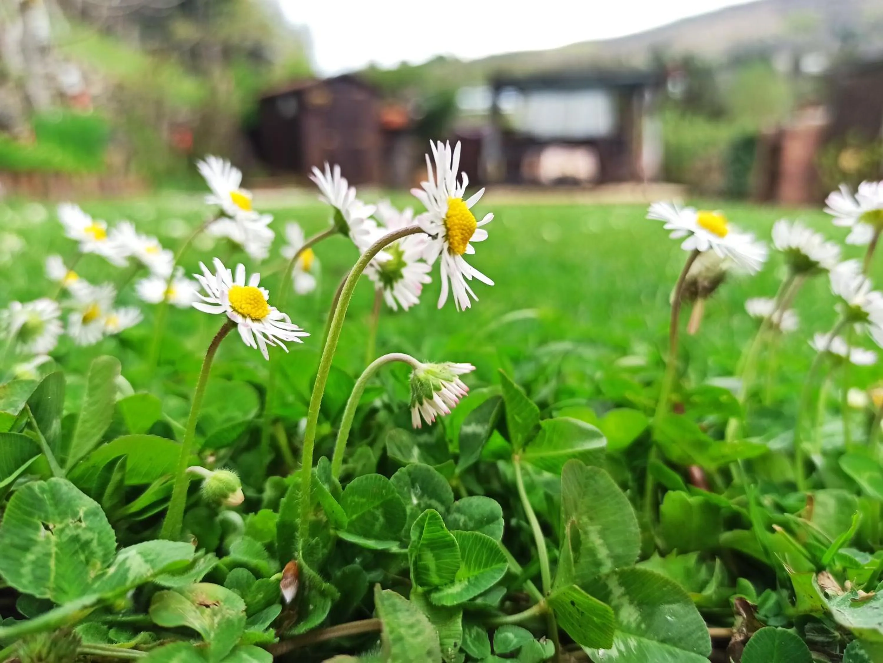 Day in B&B Va...lentina