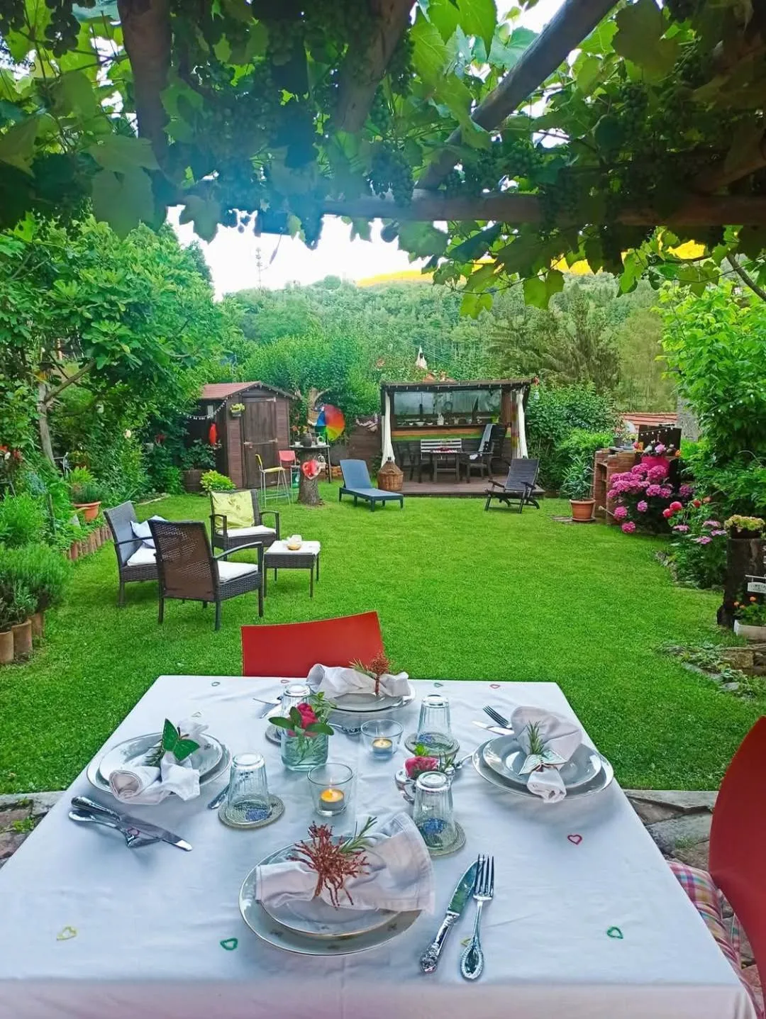 Garden in B&B Va...lentina