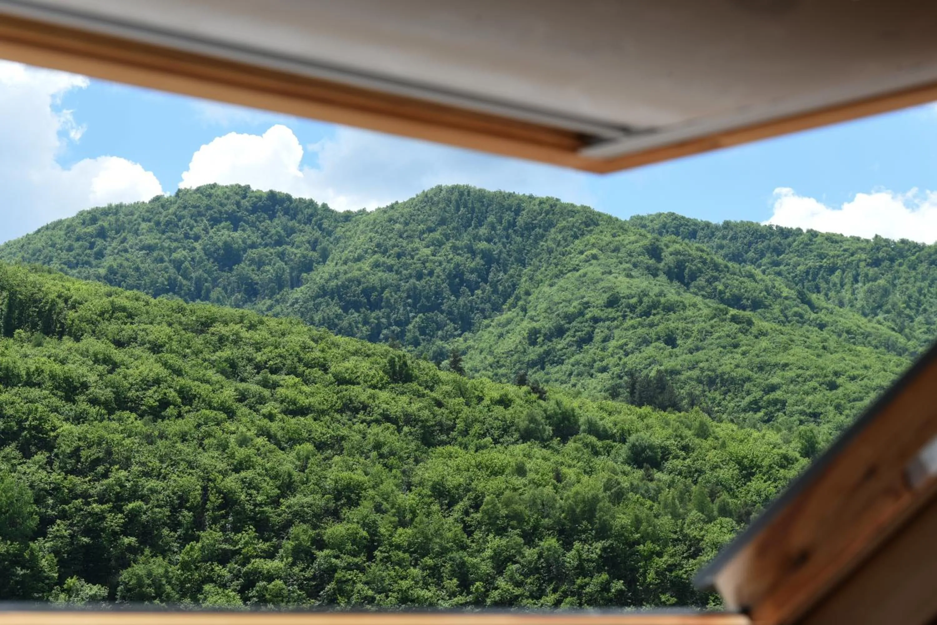 Natural landscape in B&B Va...lentina