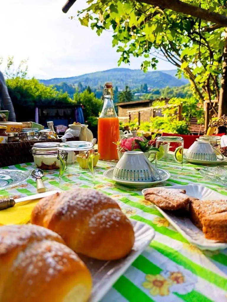 Garden in B&B Va...lentina