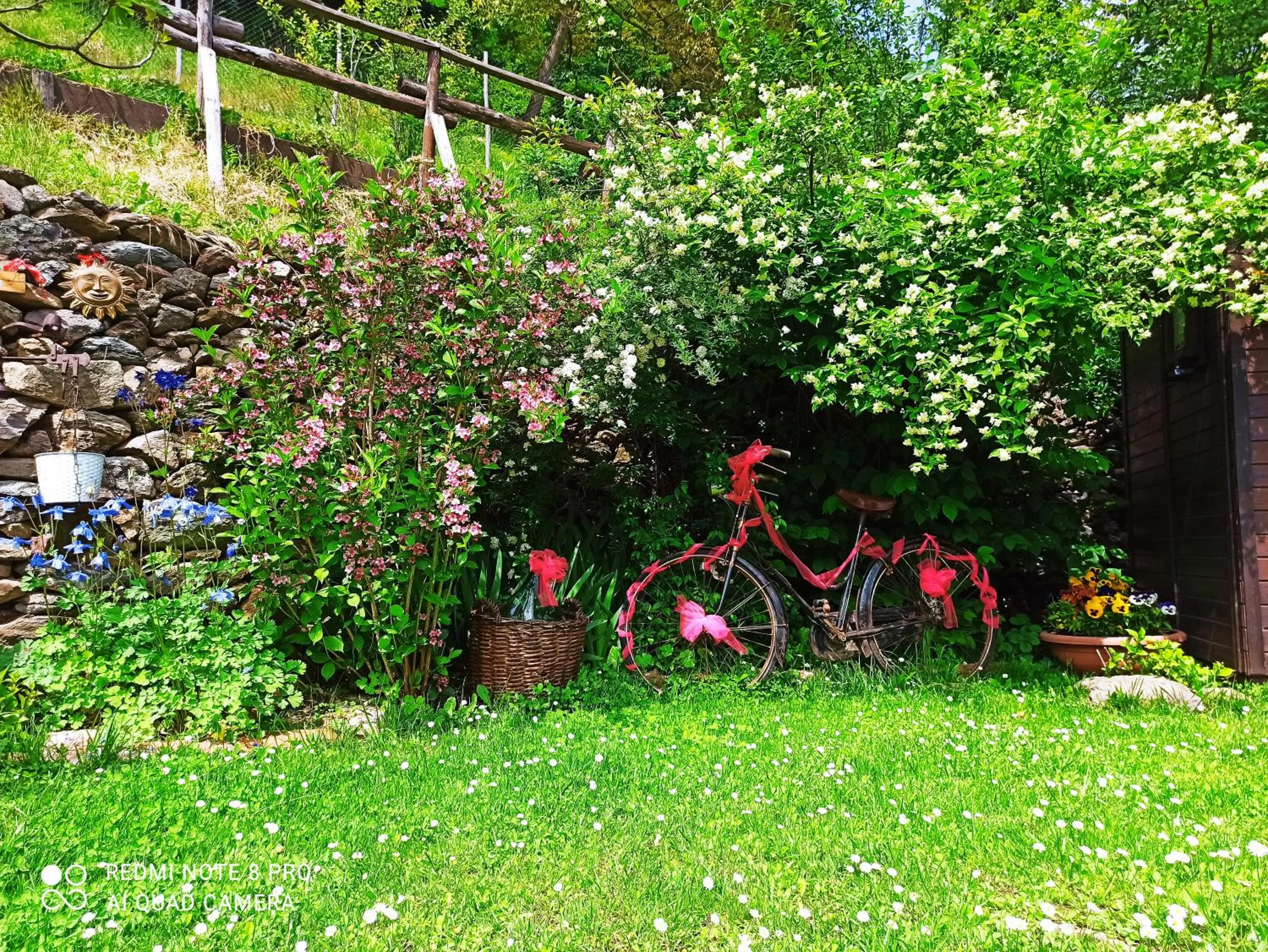 Garden view in B&B Va...lentina