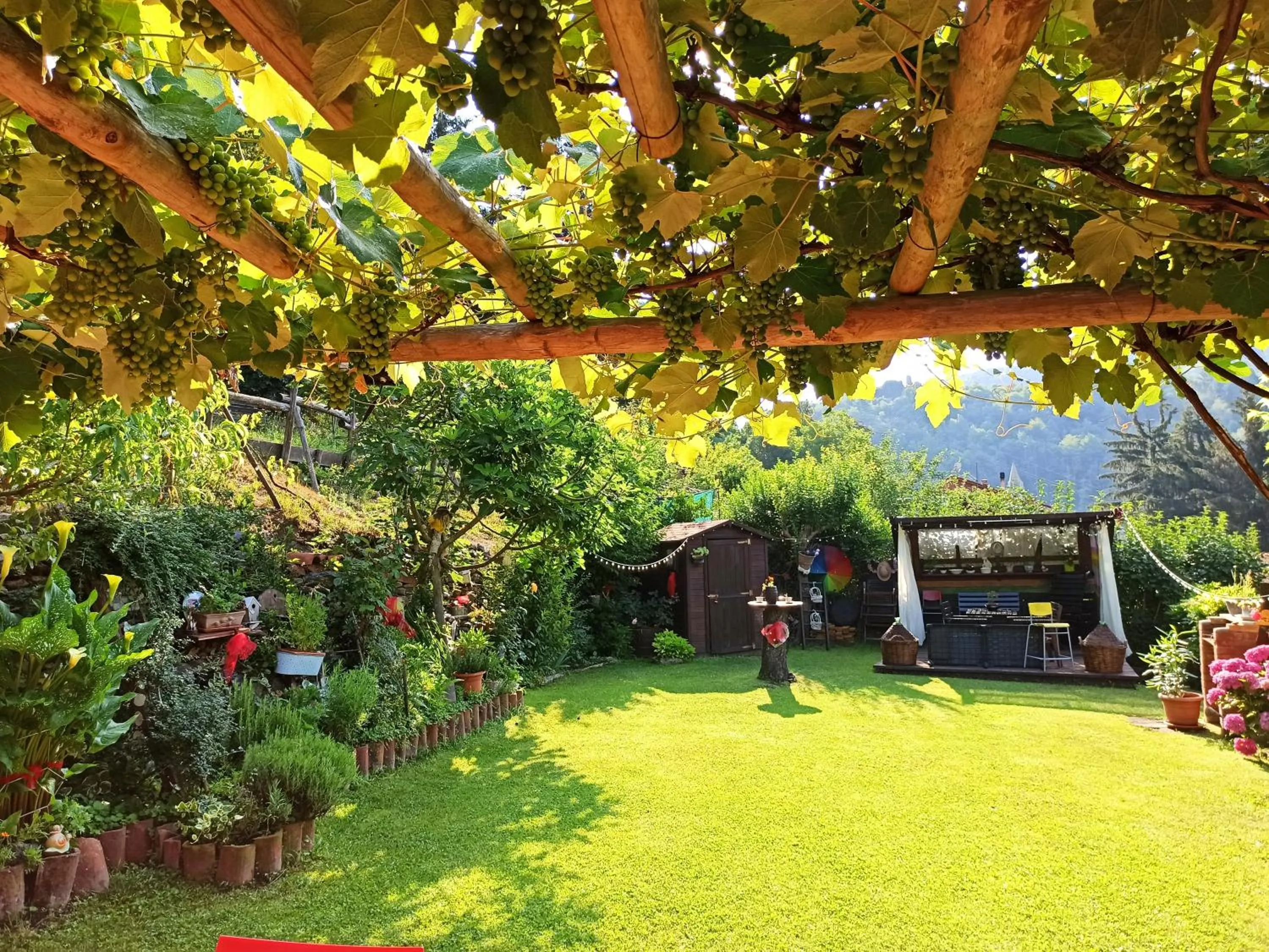 Garden in B&B Va...lentina