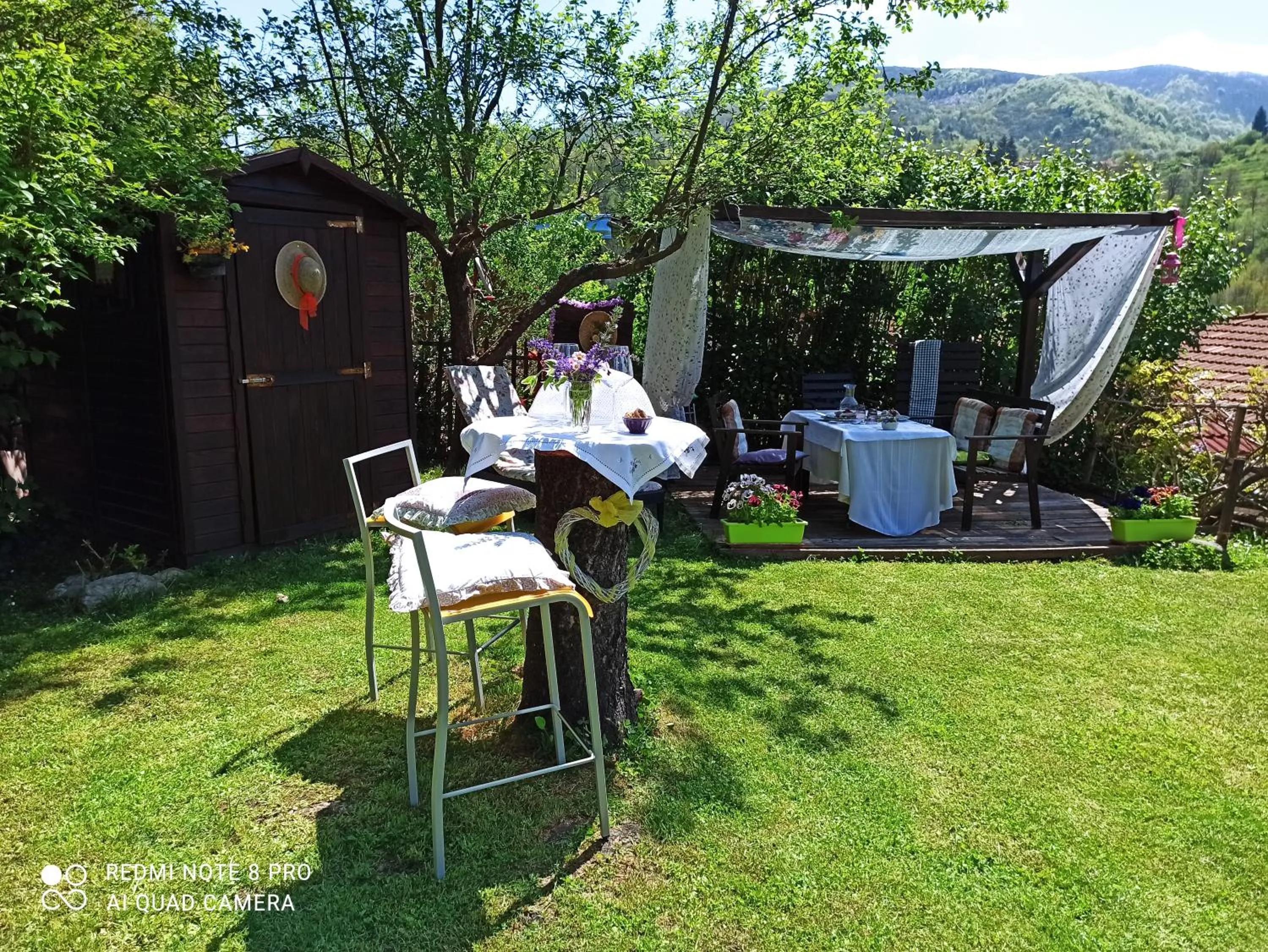 Garden view in B&B Va...lentina