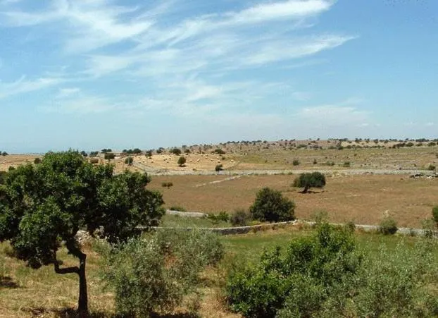 Day in Casato Licitra