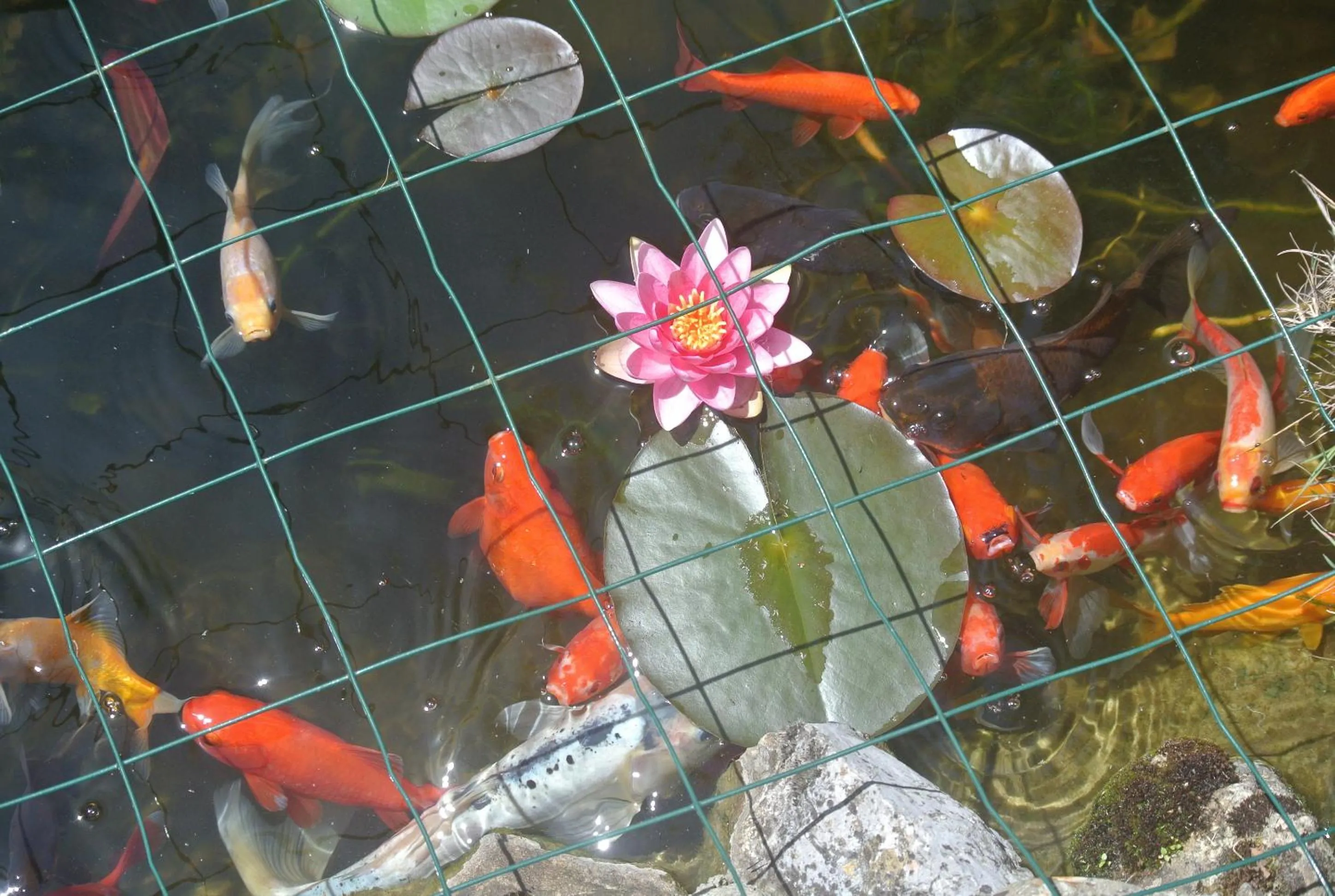 Patio in Viella Vacances