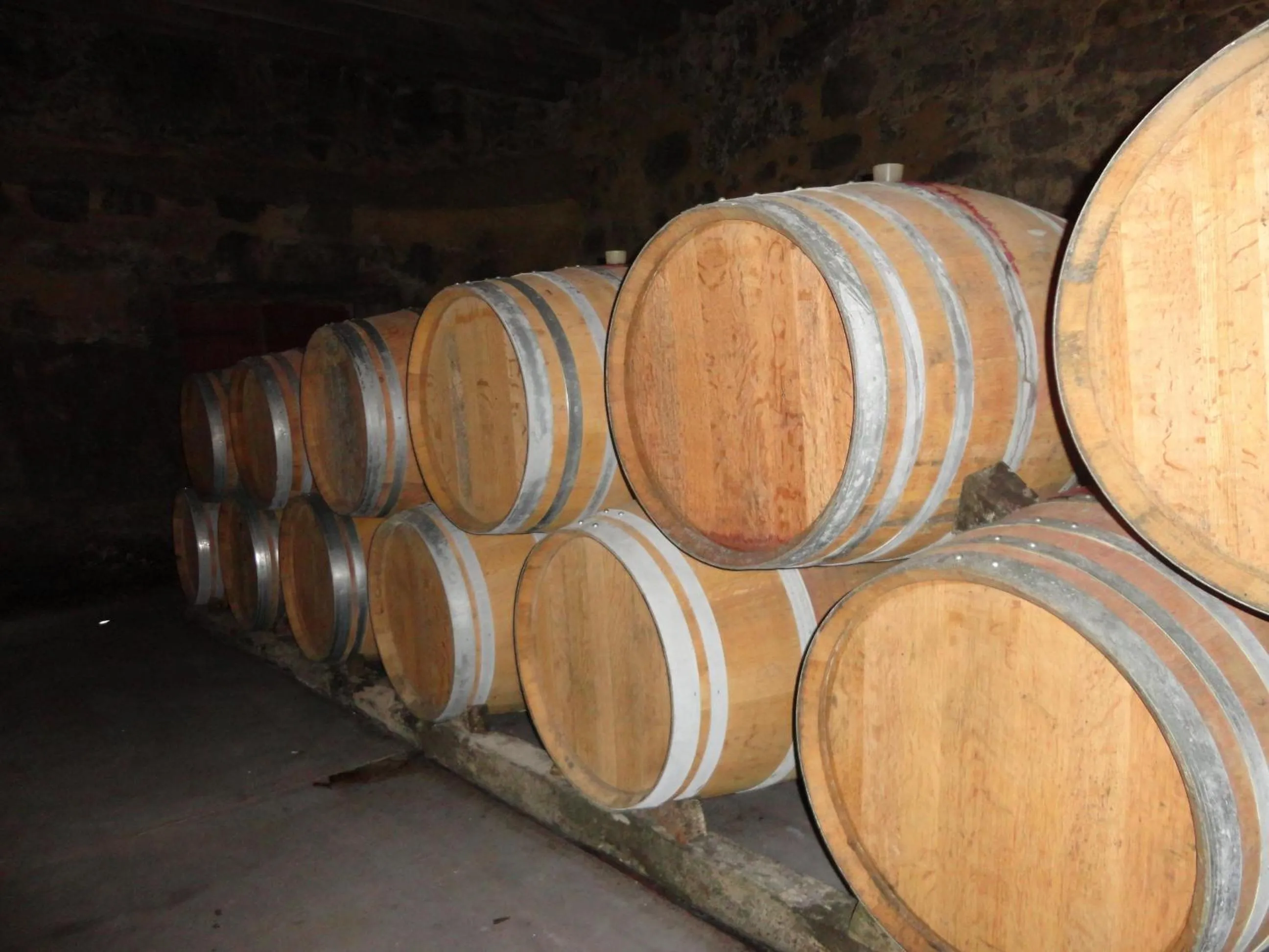 Activities in Viella Vacances