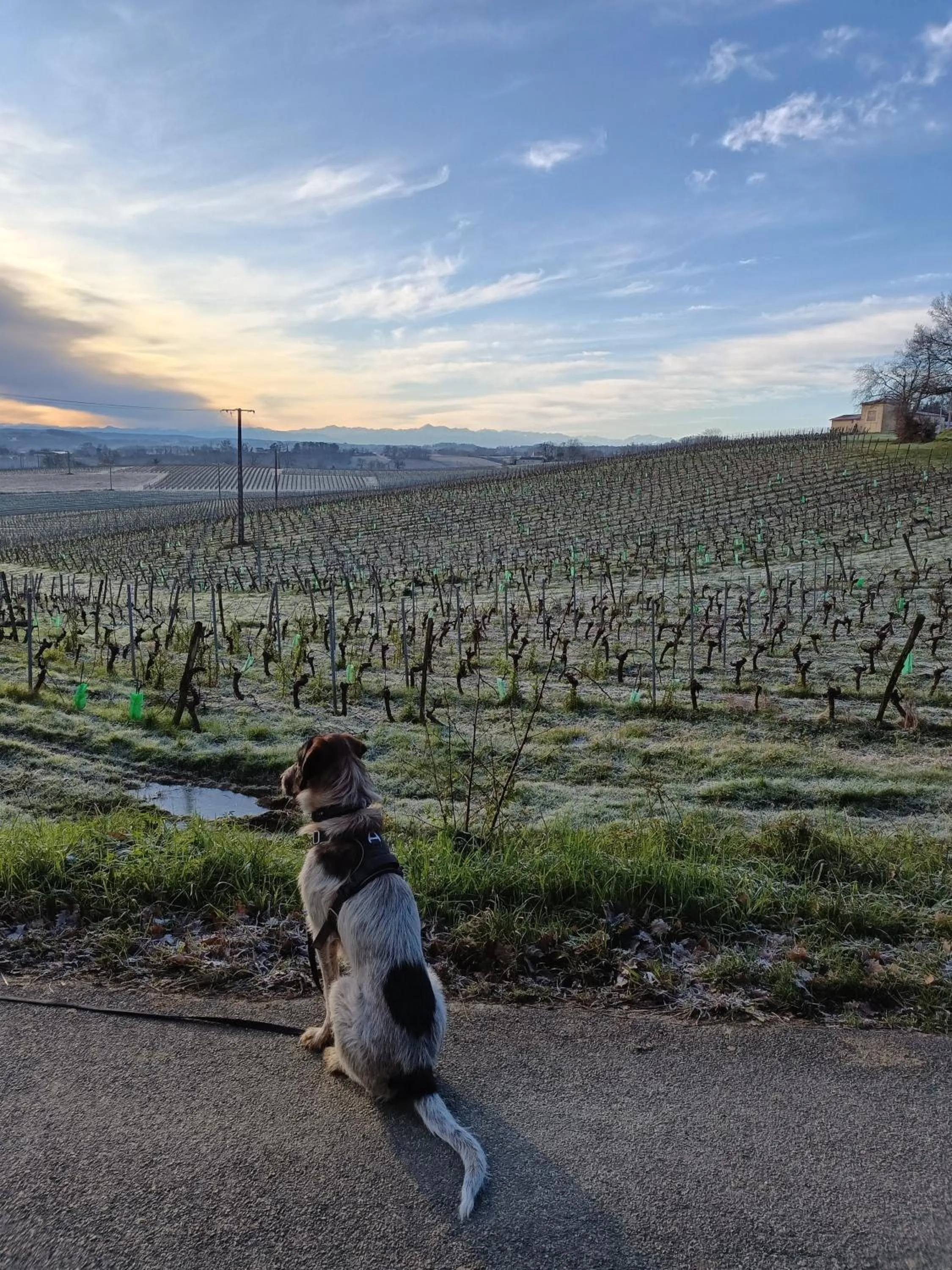 Neighbourhood in Viella Vacances