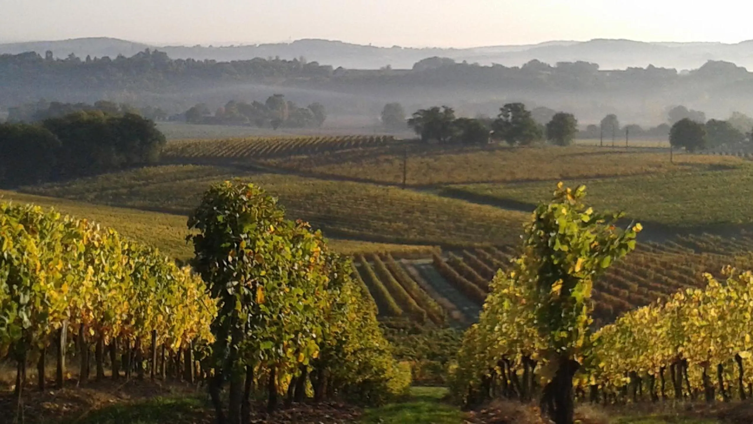 Natural landscape in Viella Vacances