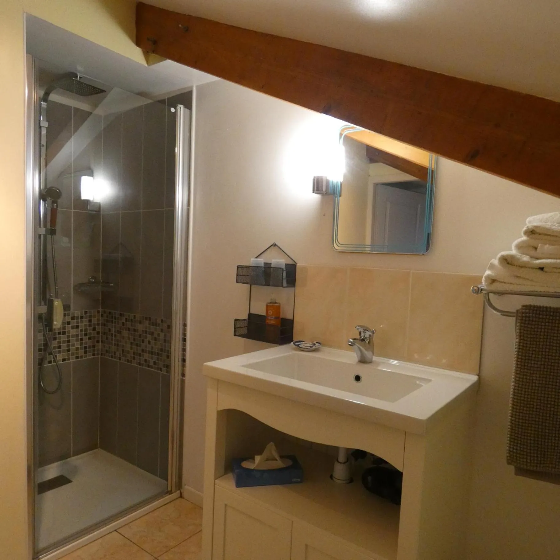 Shower in Viella Vacances