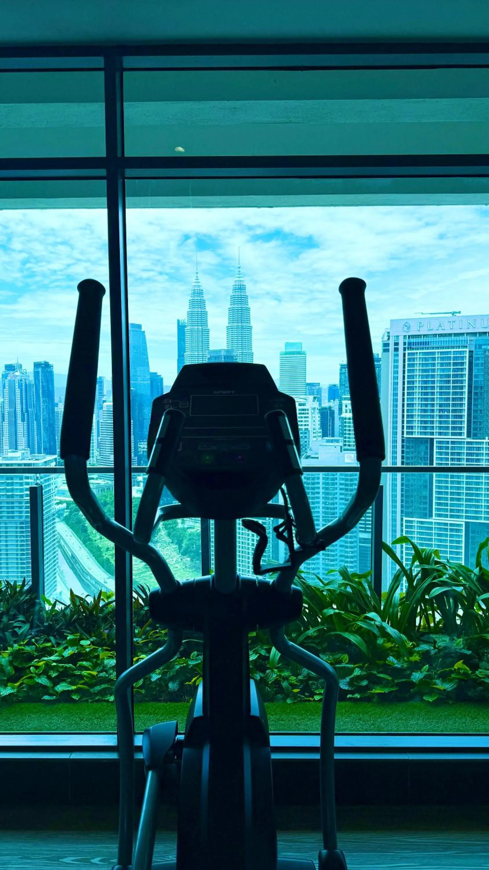 Fitness centre/facilities in The Colony By Infinitum Flixses