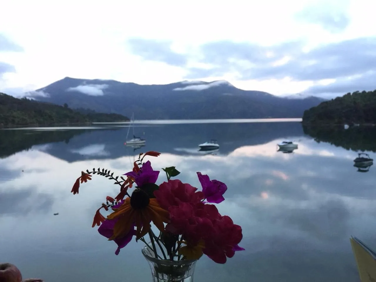 Beach in Te Mahia Bay Resort