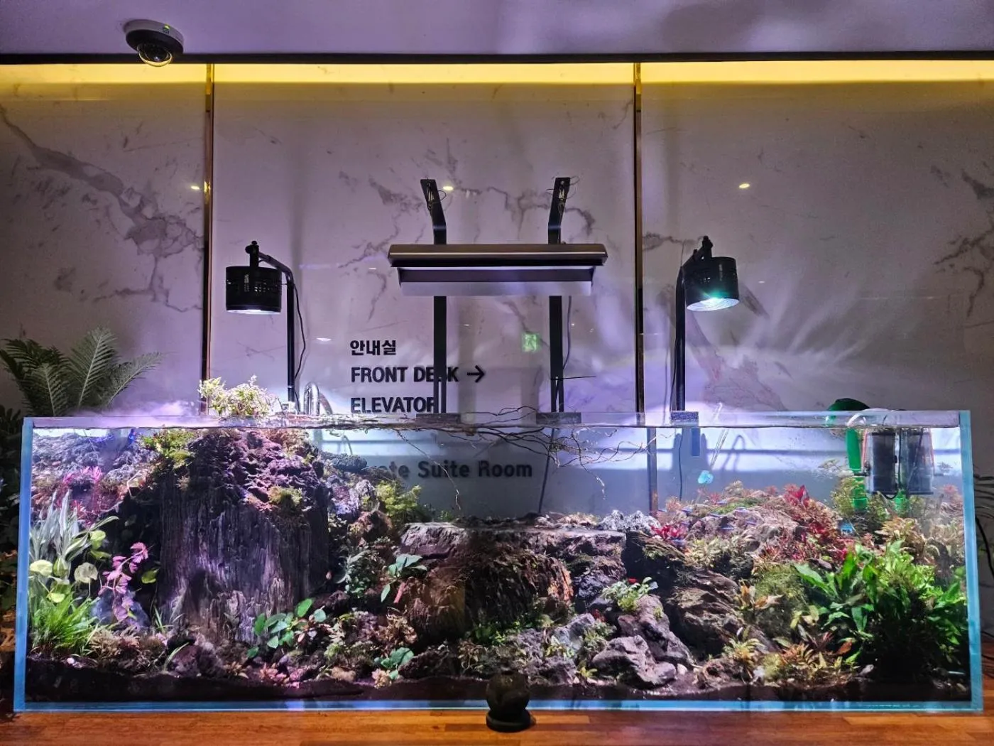 Awesome Boutique Hotel