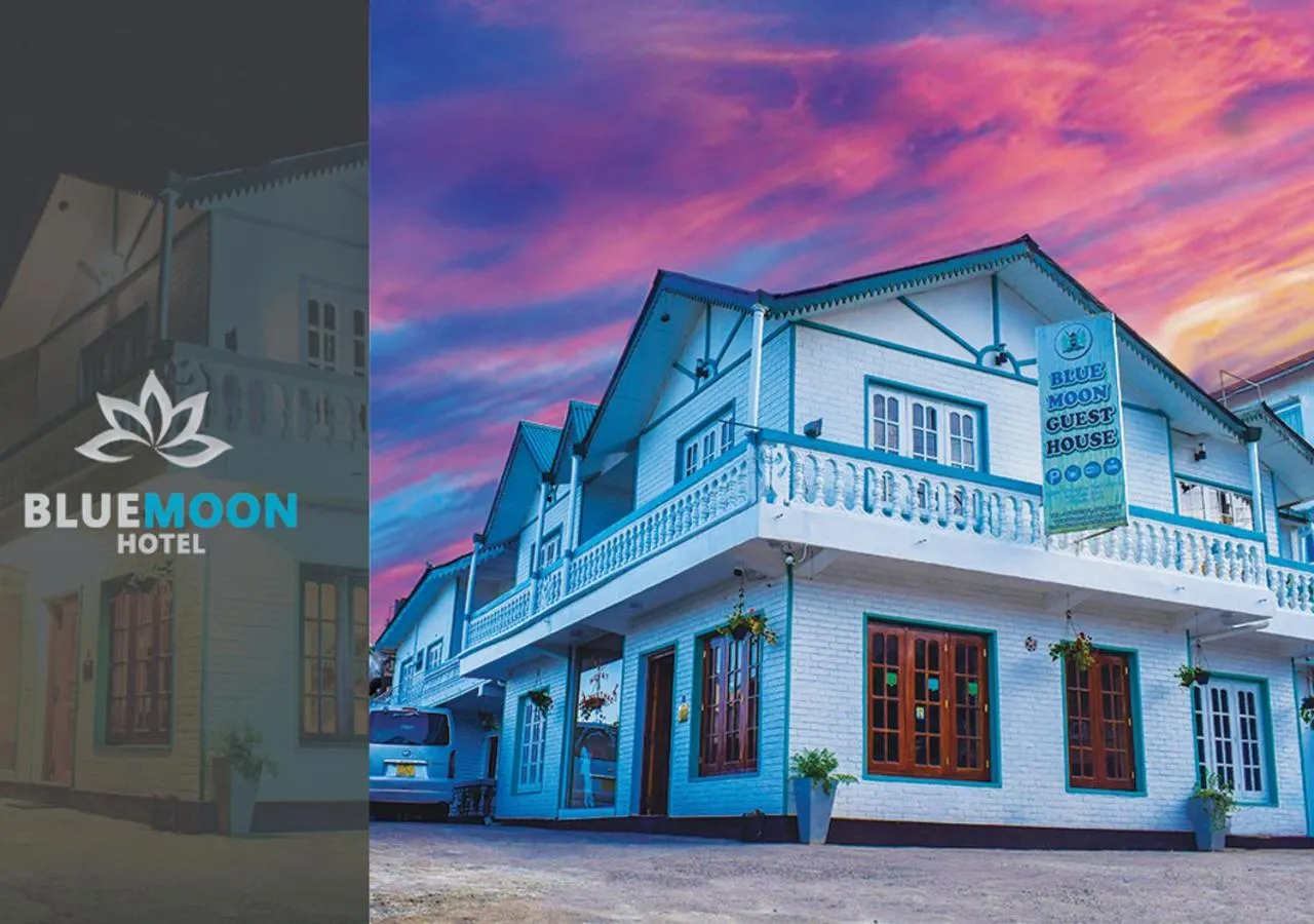 Property building in Blue Moon Hotel