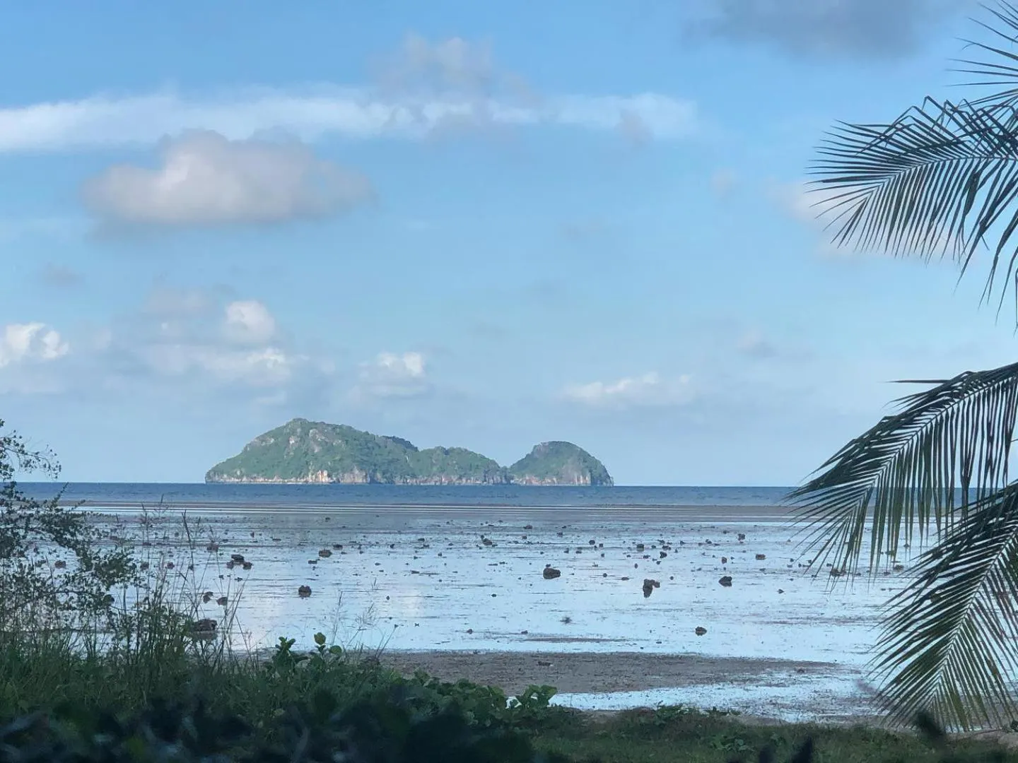 Natural landscape in The Ford SunSet Beach Resort
