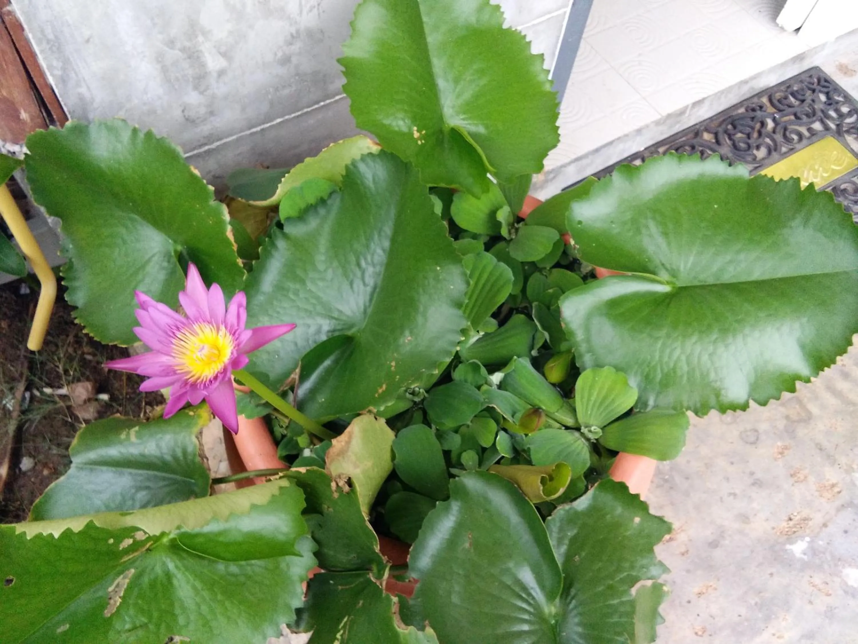 Lobby or reception in The Ford SunSet Beach Resort