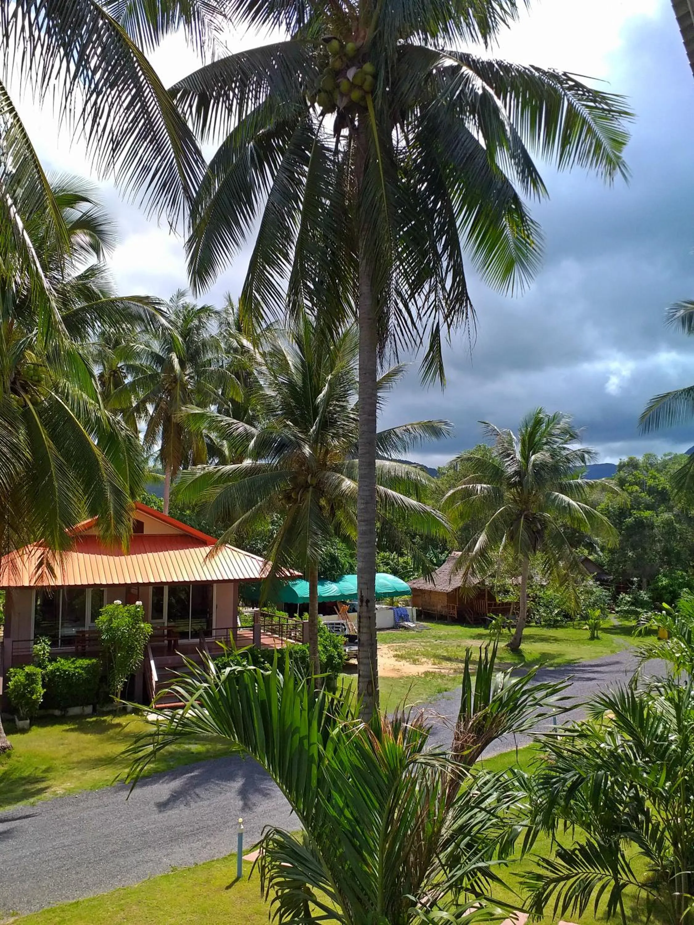 Garden in The Ford SunSet Beach Resort
