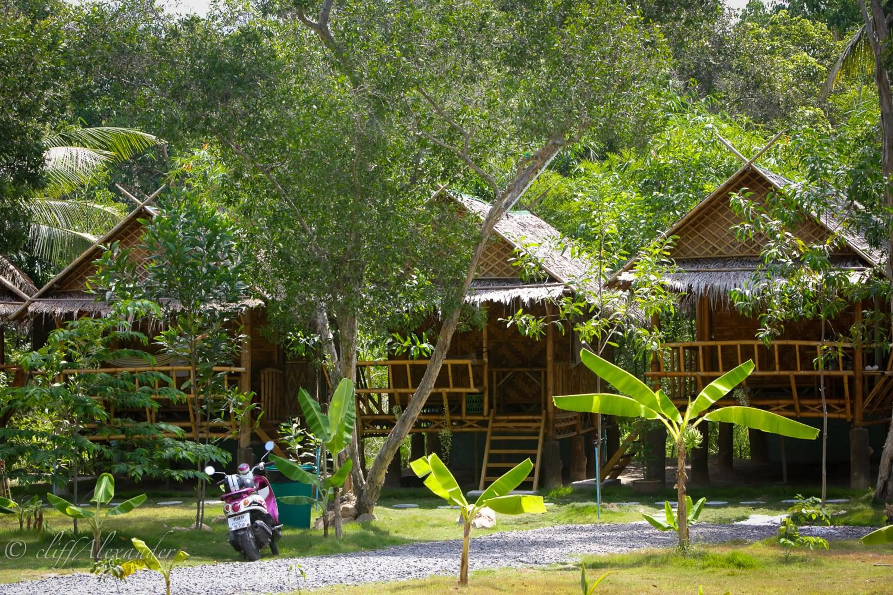 Garden in The Ford SunSet Beach Resort