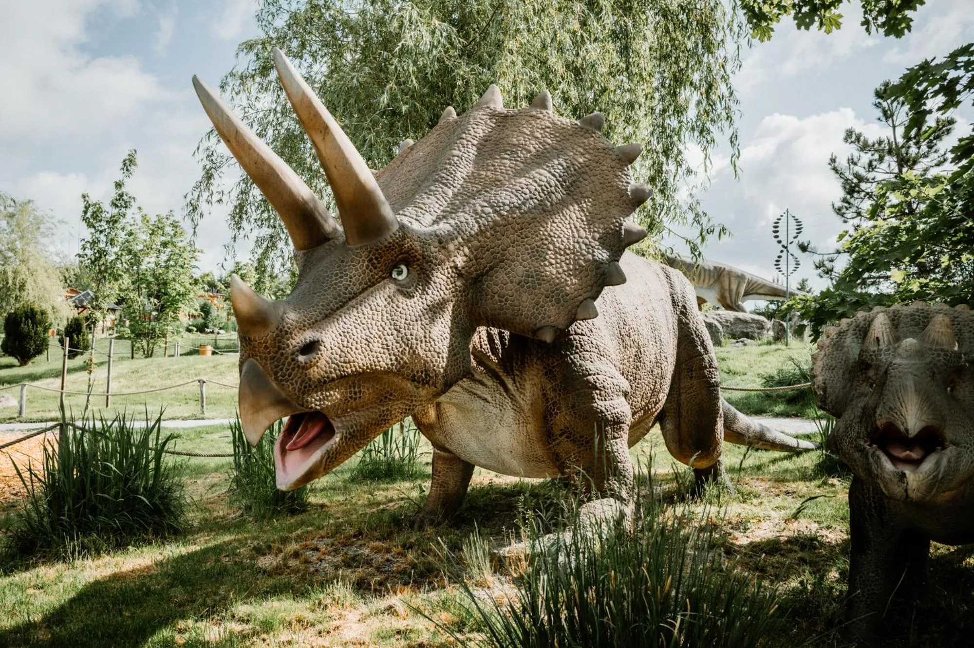 Aqua park in IKUNA Naturresort