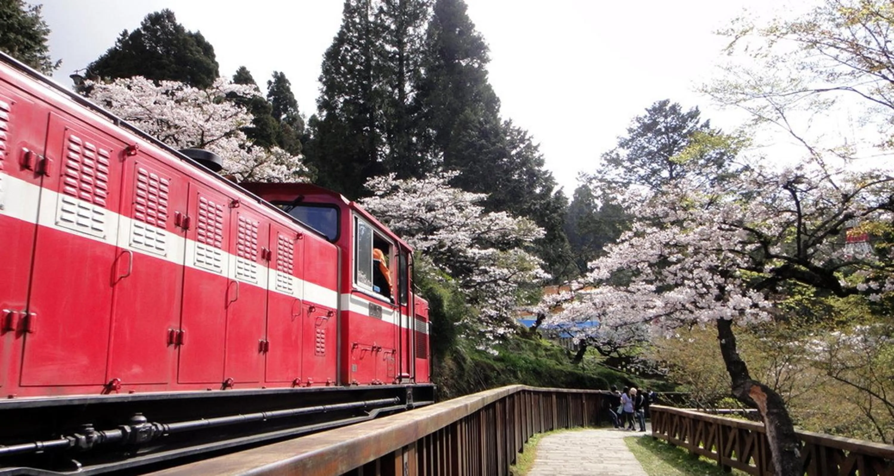 Nearby landmark in F Hotel - Chiayi - Pet-friendly