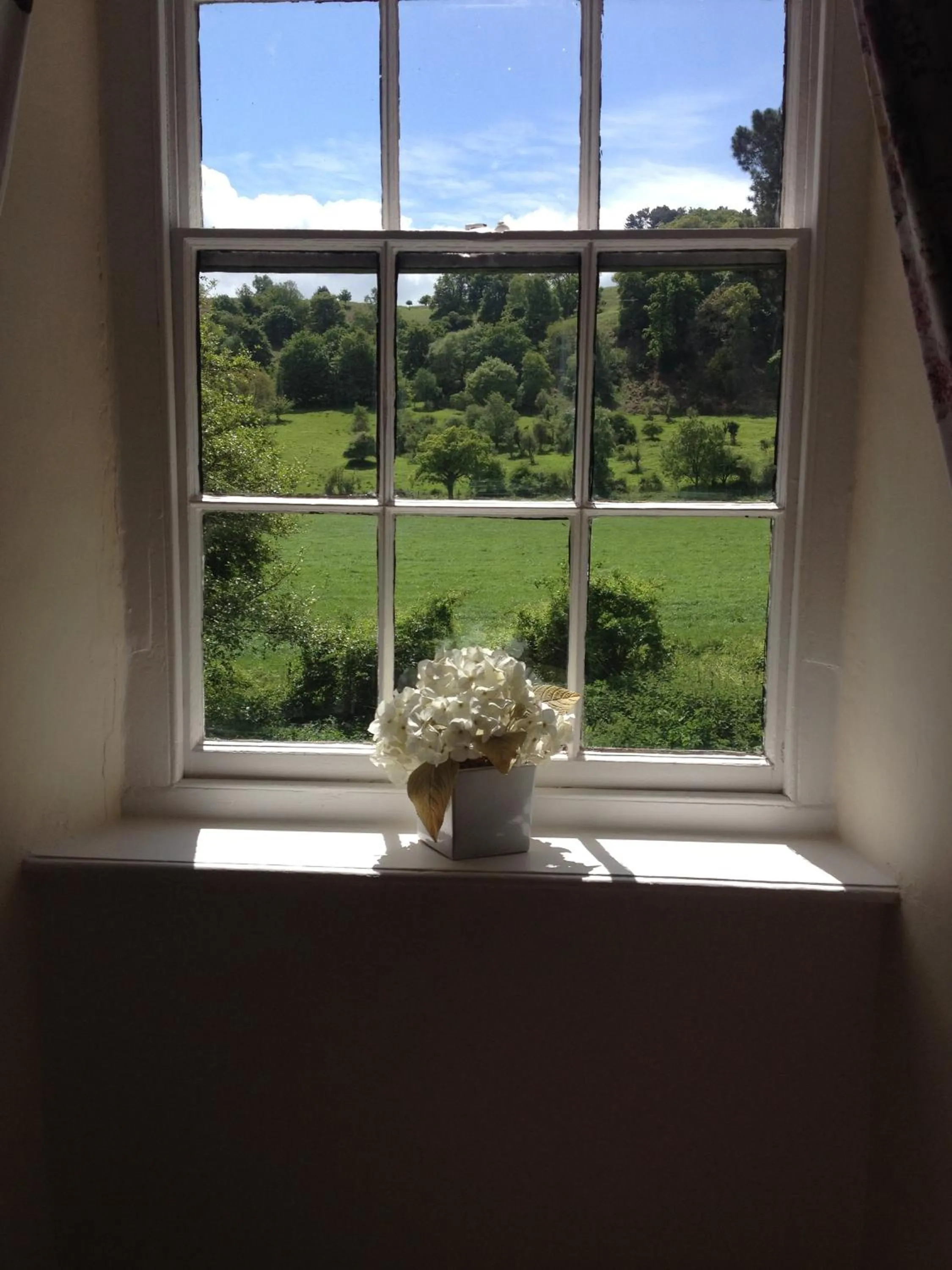Garden view in Dunster Mill House
