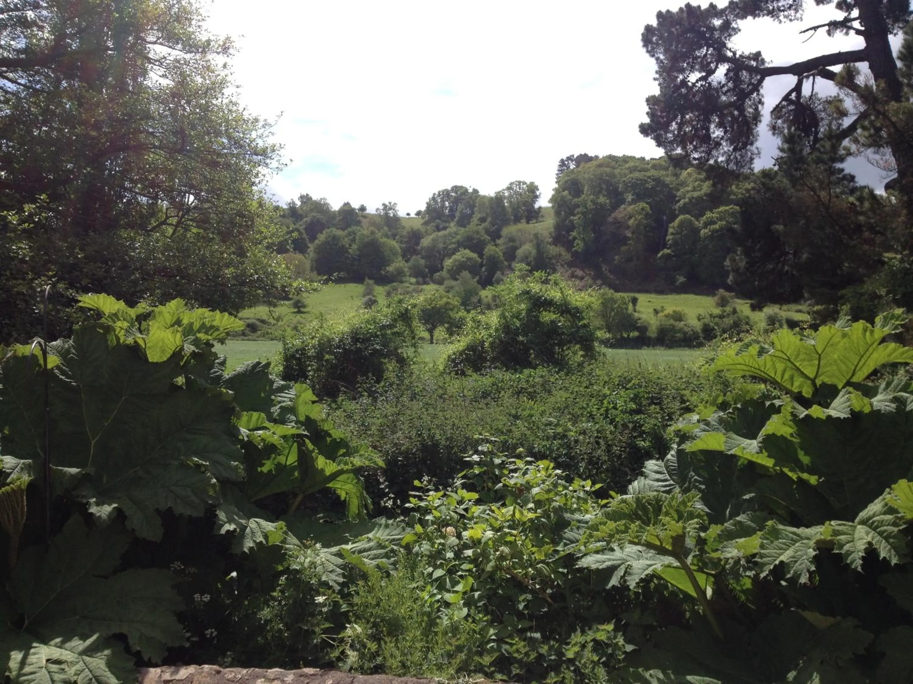 Landmark view in Dunster Mill House