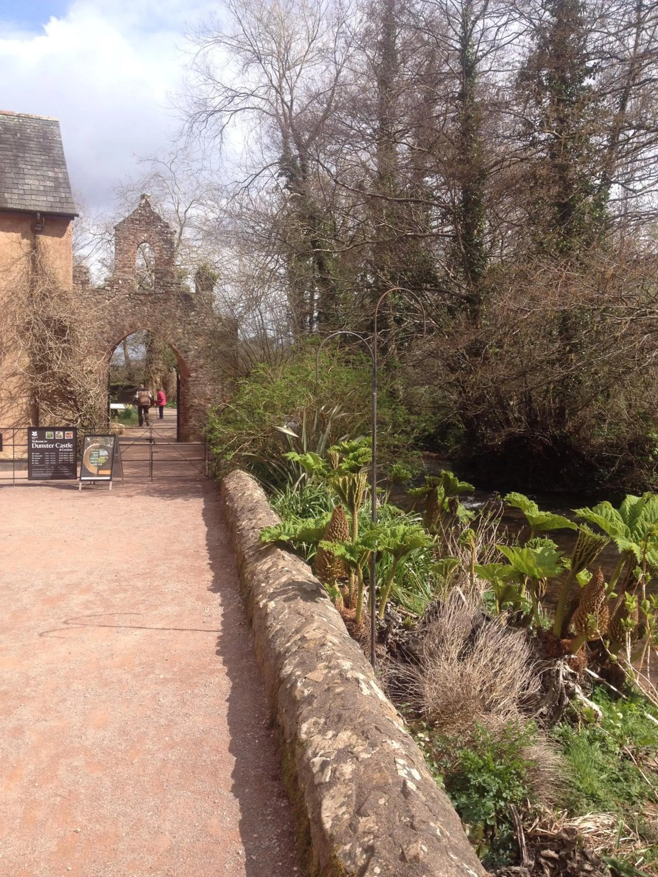 Garden in Dunster Mill House