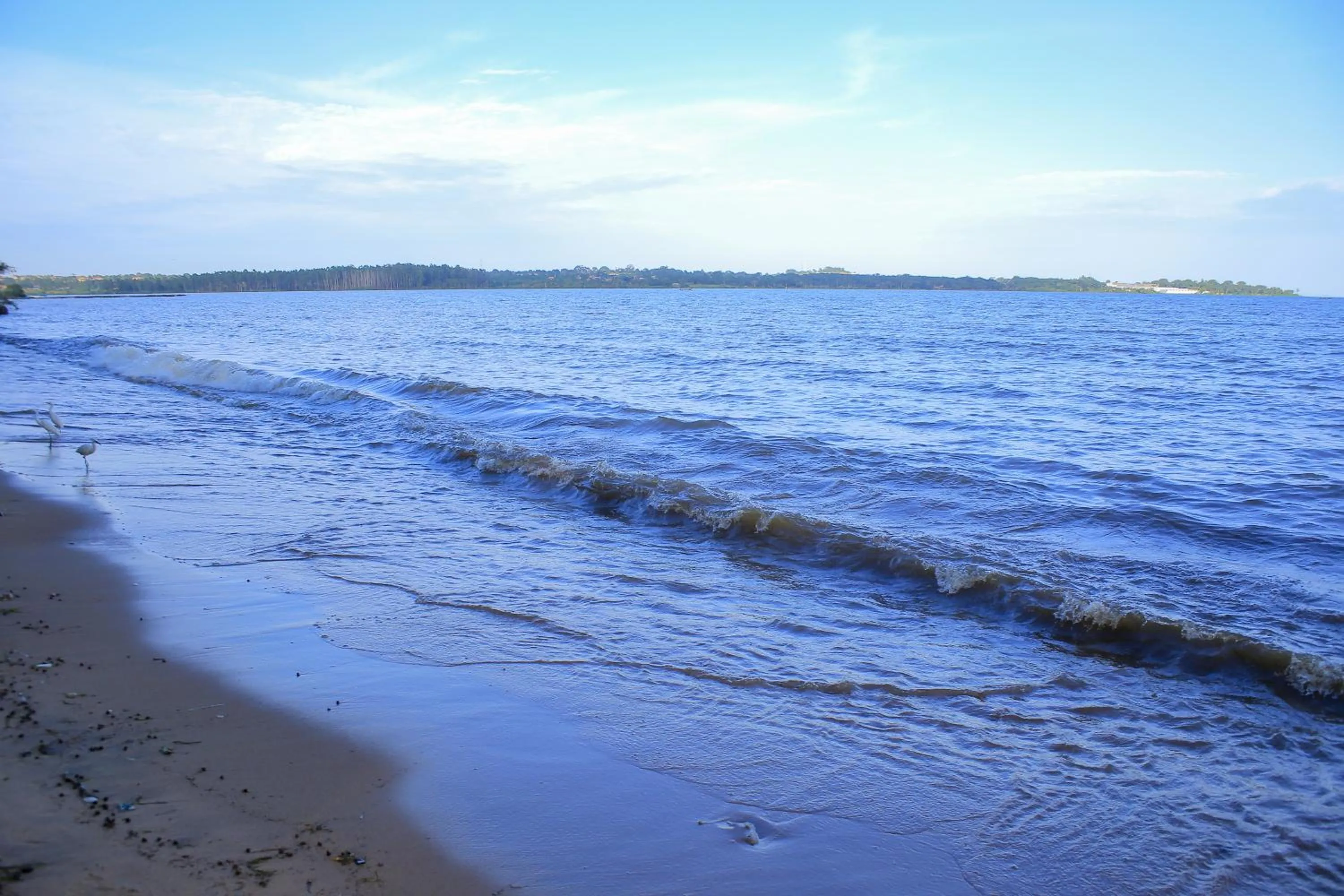 Saffron Beach Bistro and Cottages