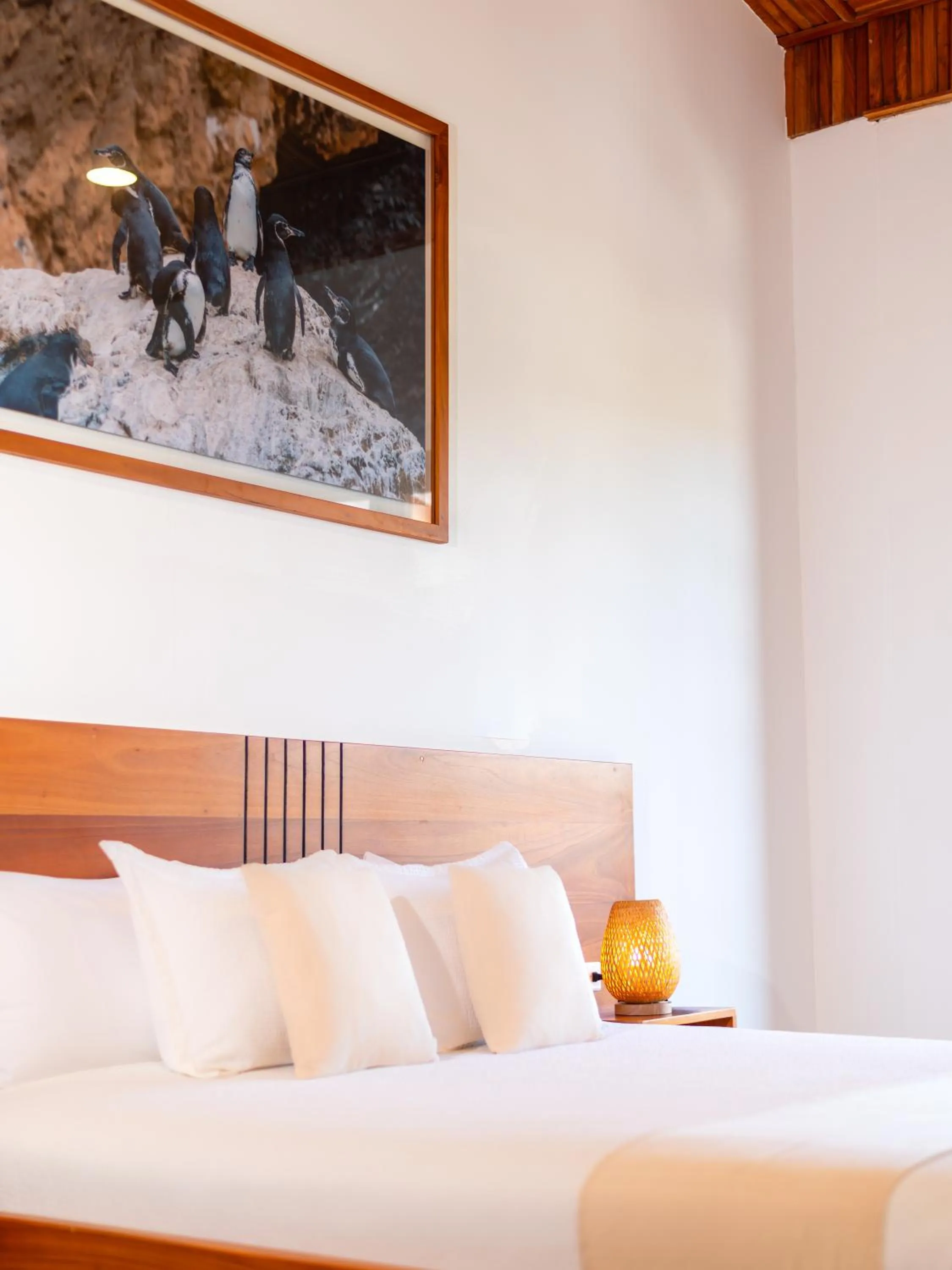 Bed in El Barranco Galapagos