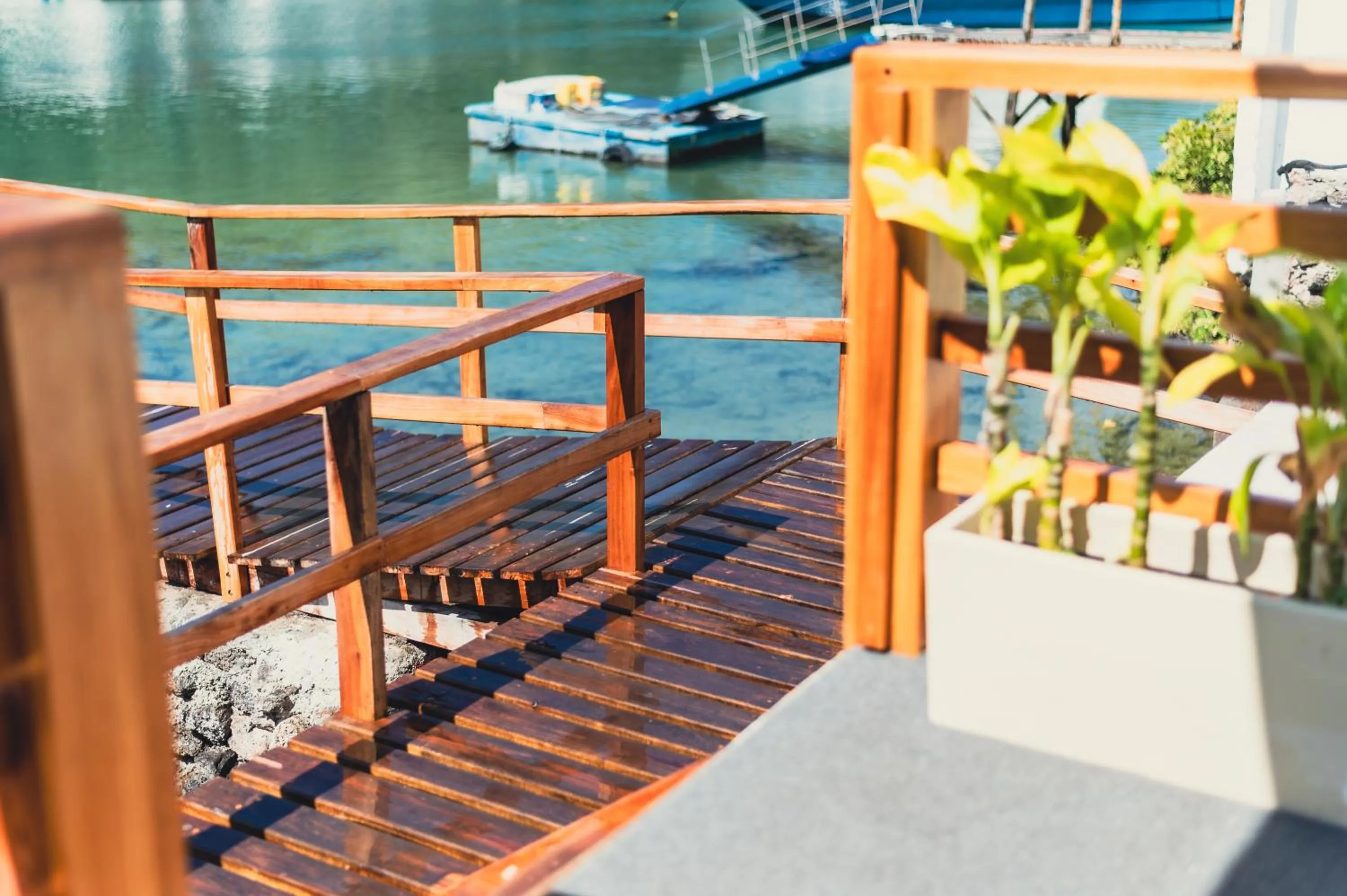 El Barranco Galapagos