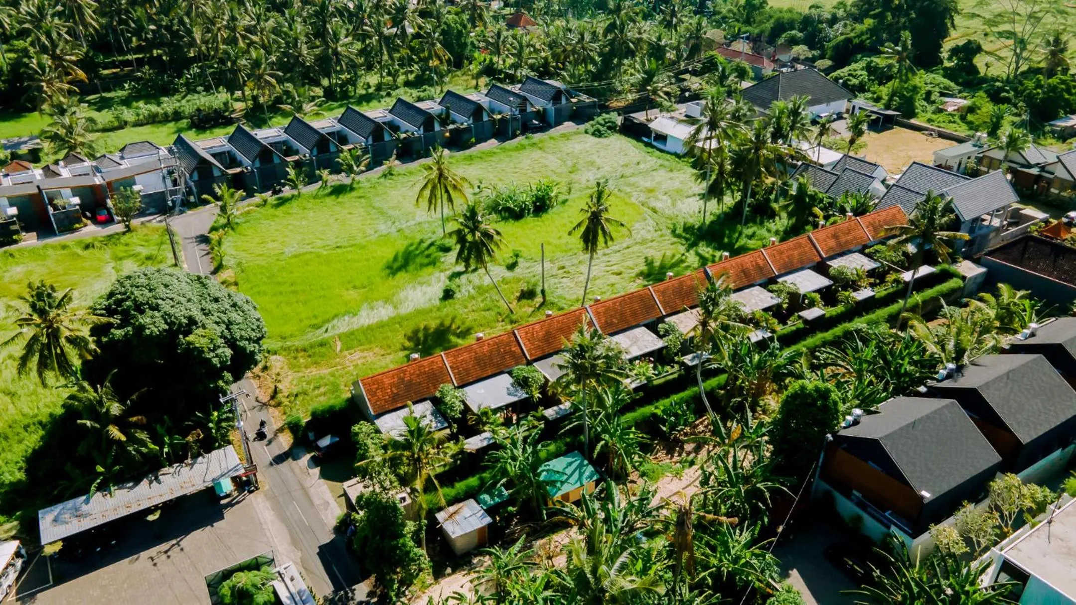 Natural landscape in Prema Ubud Villas