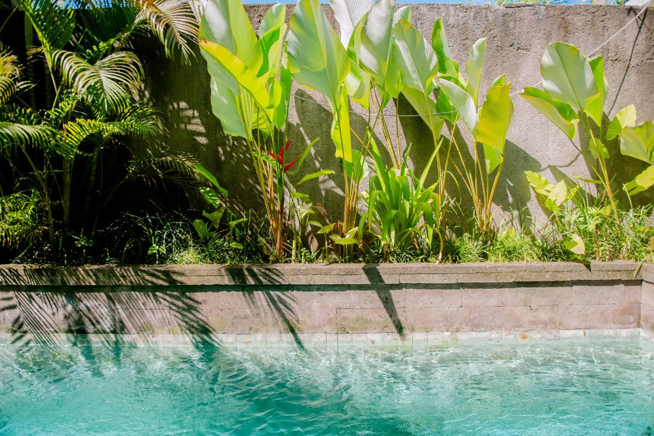 Garden in Prema Ubud Villas
