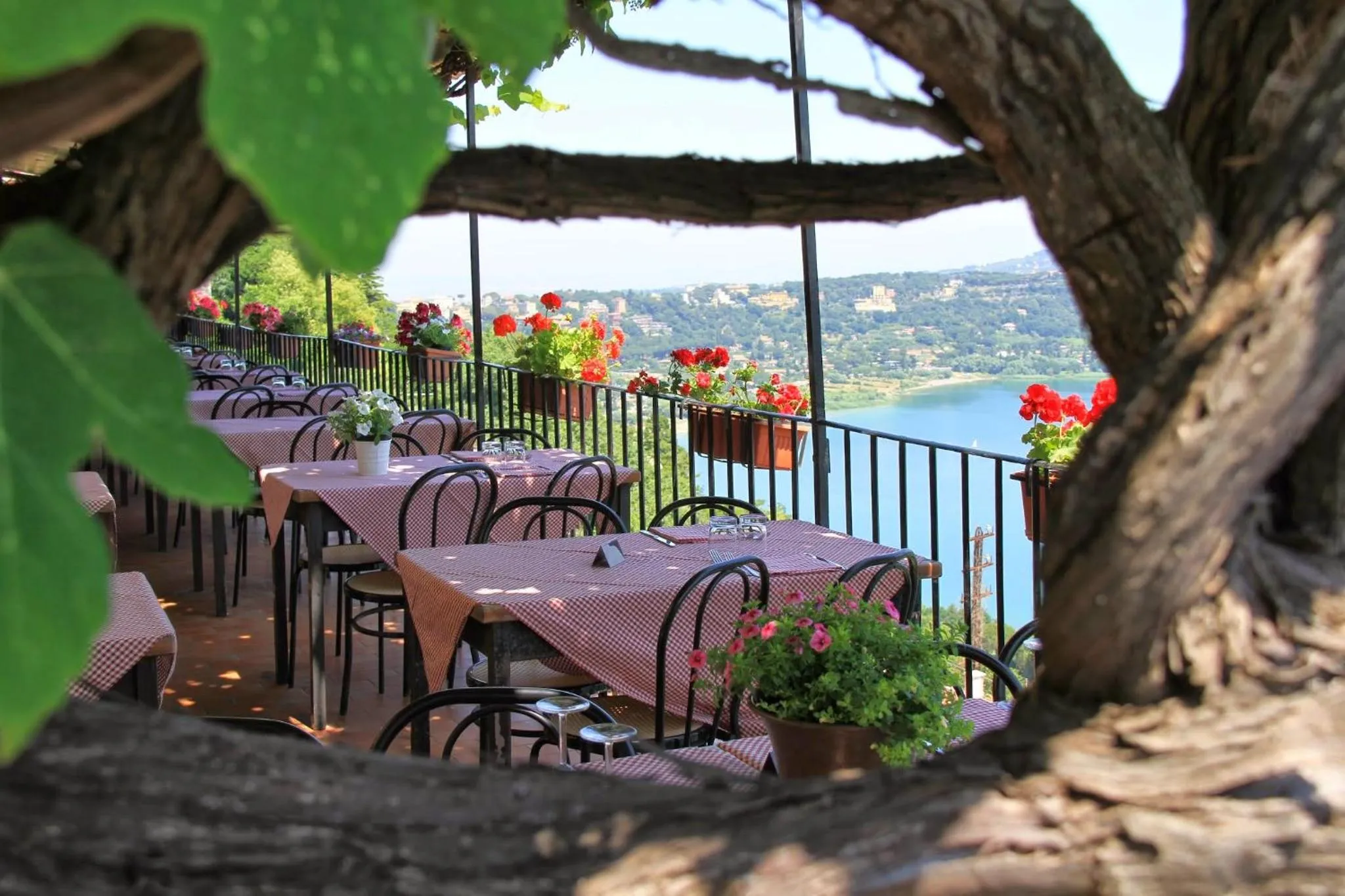 Restaurant/places to eat in Hotel Castel Gandolfo