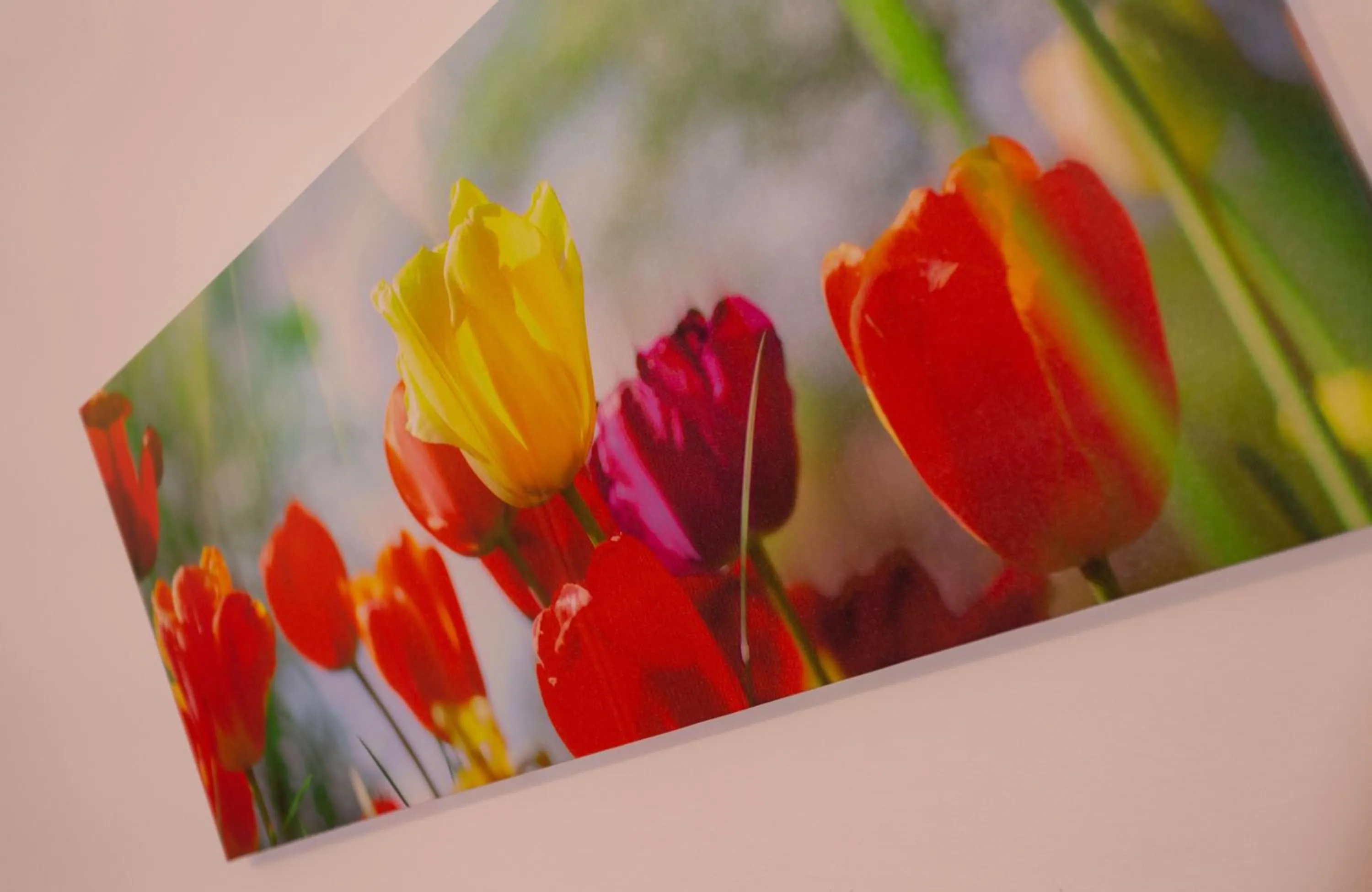 Decorative detail in Hotel Residence Sirenella