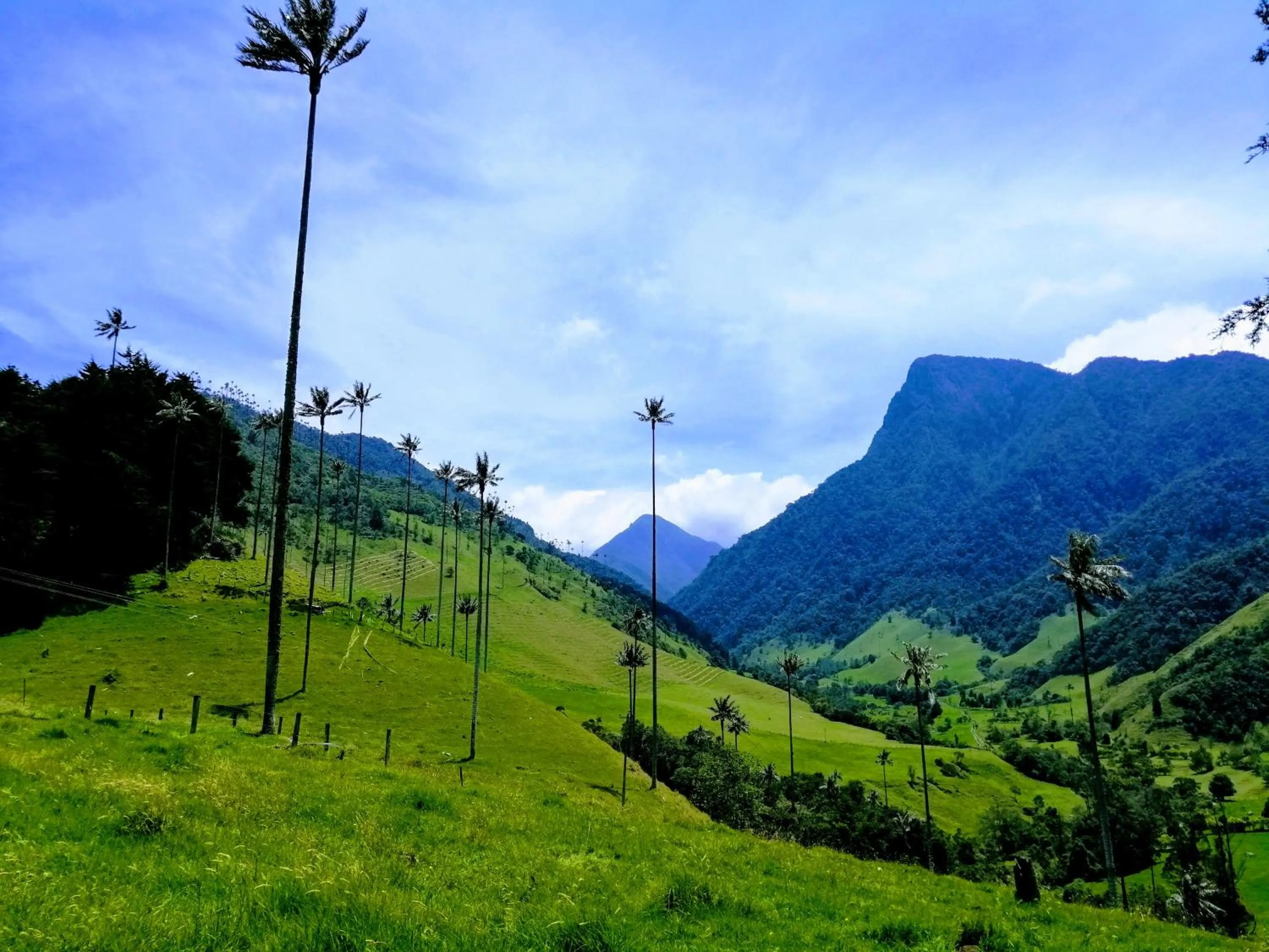 Natural landscape in Hotel Mocawa Resort