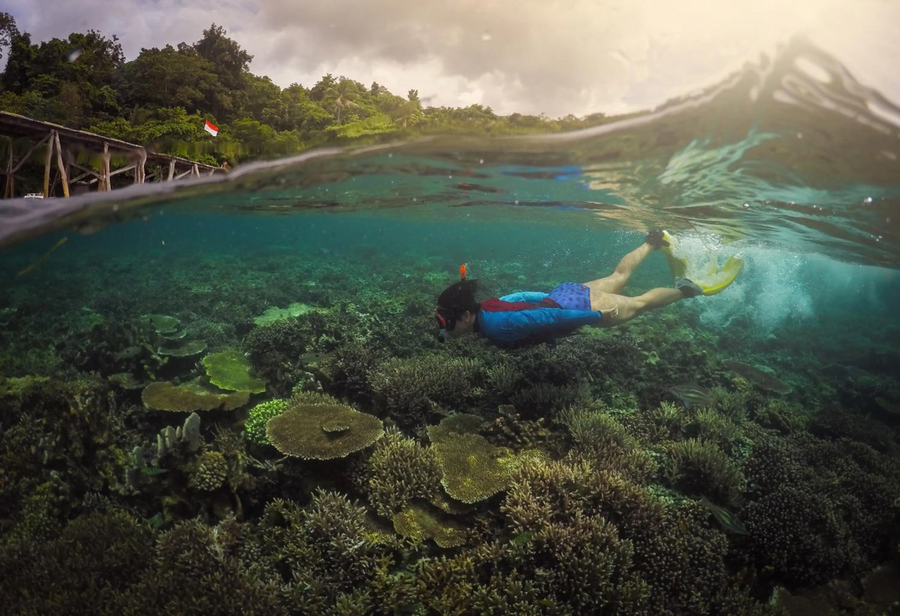 Property building in Raja Ampat Dive Resort