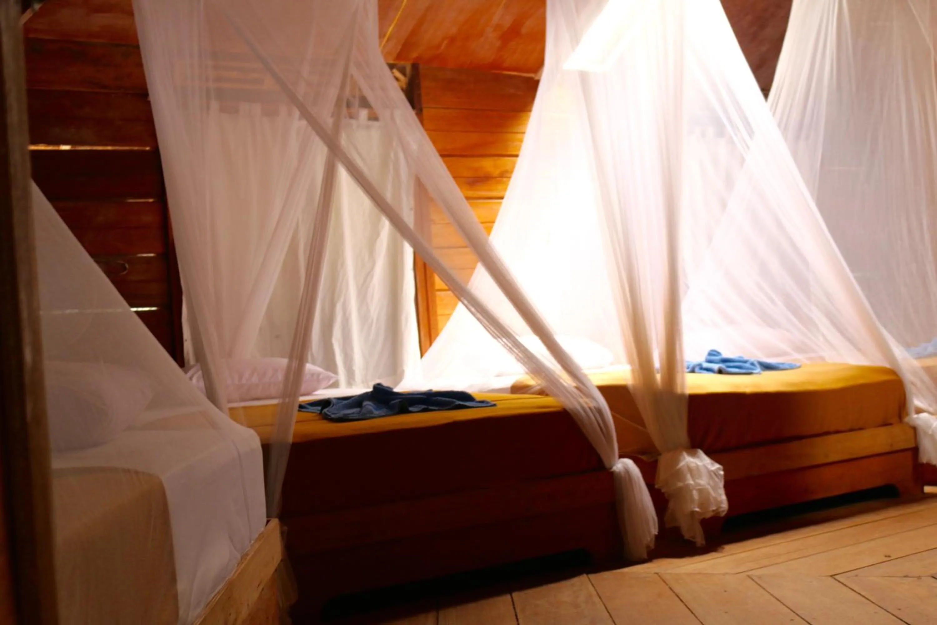 Bed in Raja Ampat Dive Resort