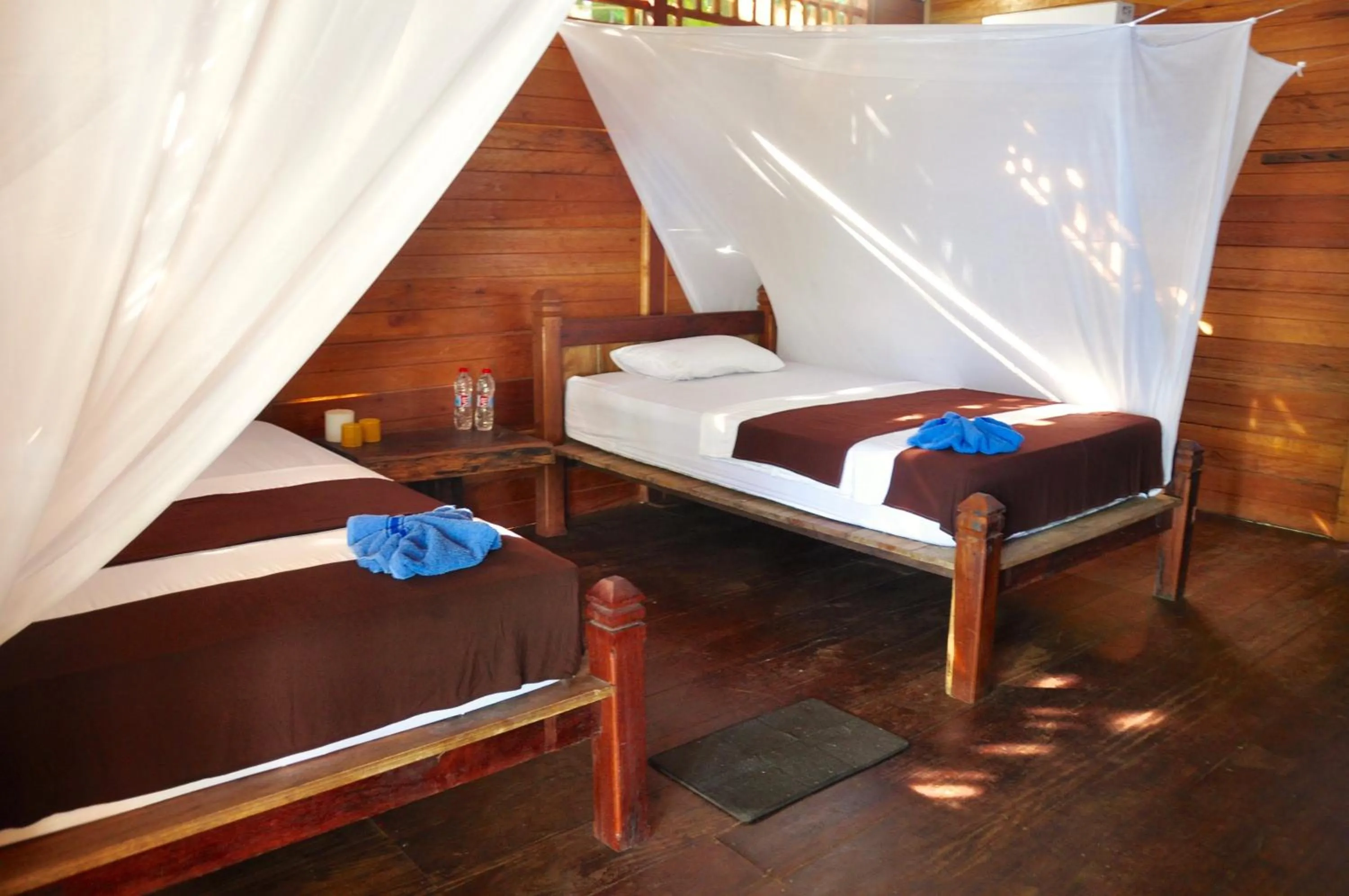 Photo of the whole room, Bed in Raja Ampat Dive Resort