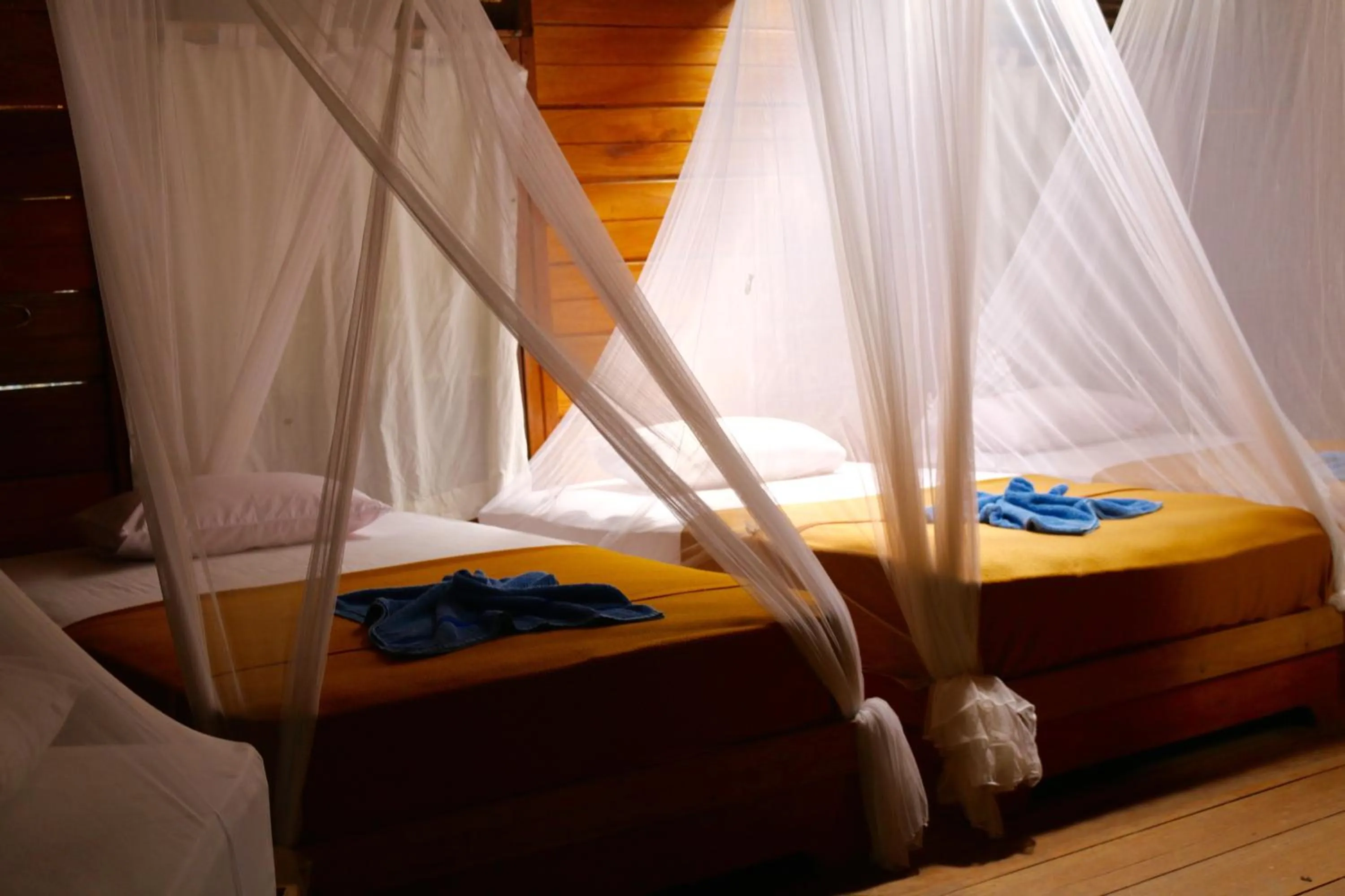 Bed in Raja Ampat Dive Resort