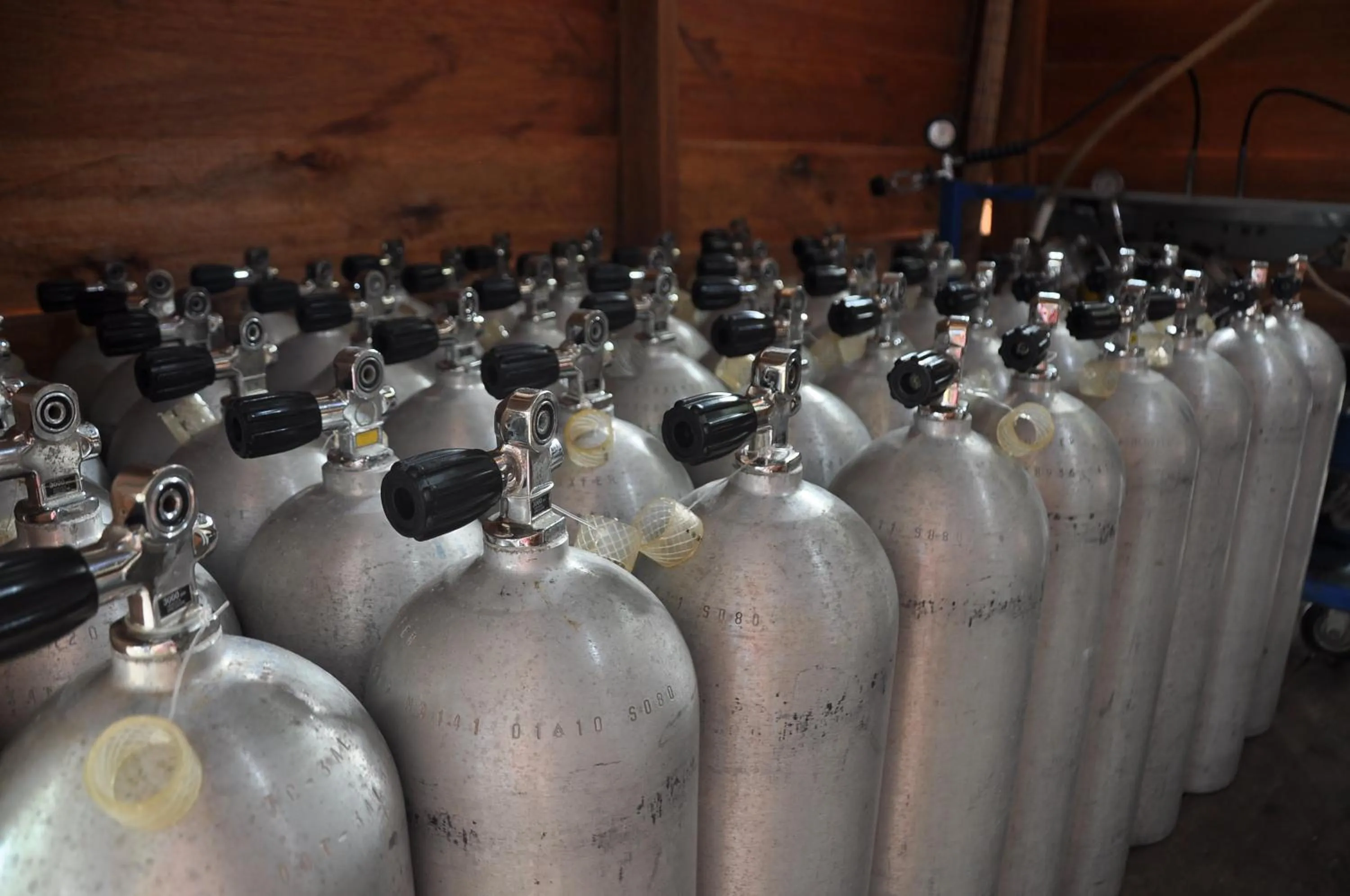 Other in Raja Ampat Dive Resort