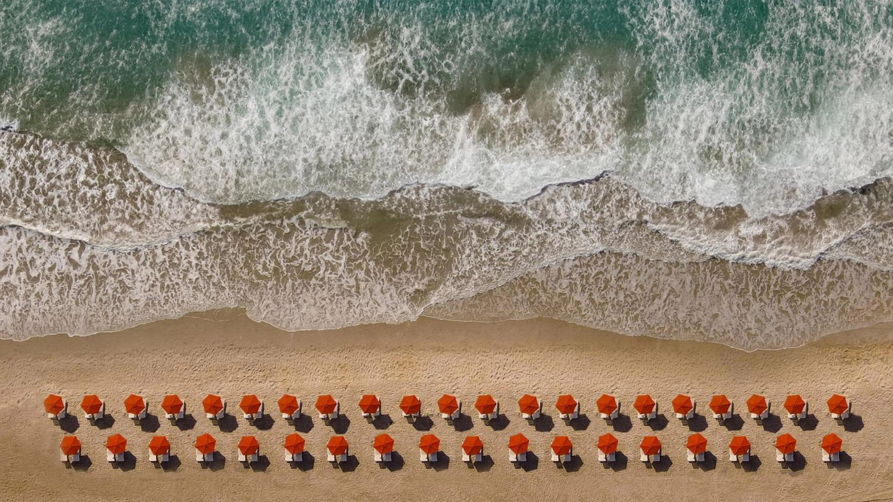 Beach in Trailborn Surf & Sound, Outdoor Collection by Marriott Bonvoy